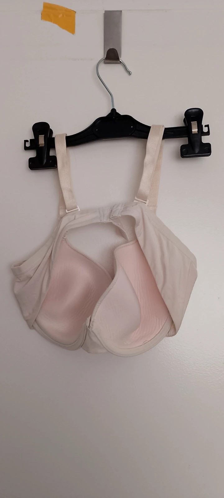 BH 80c – Passionata – taille 80C 2