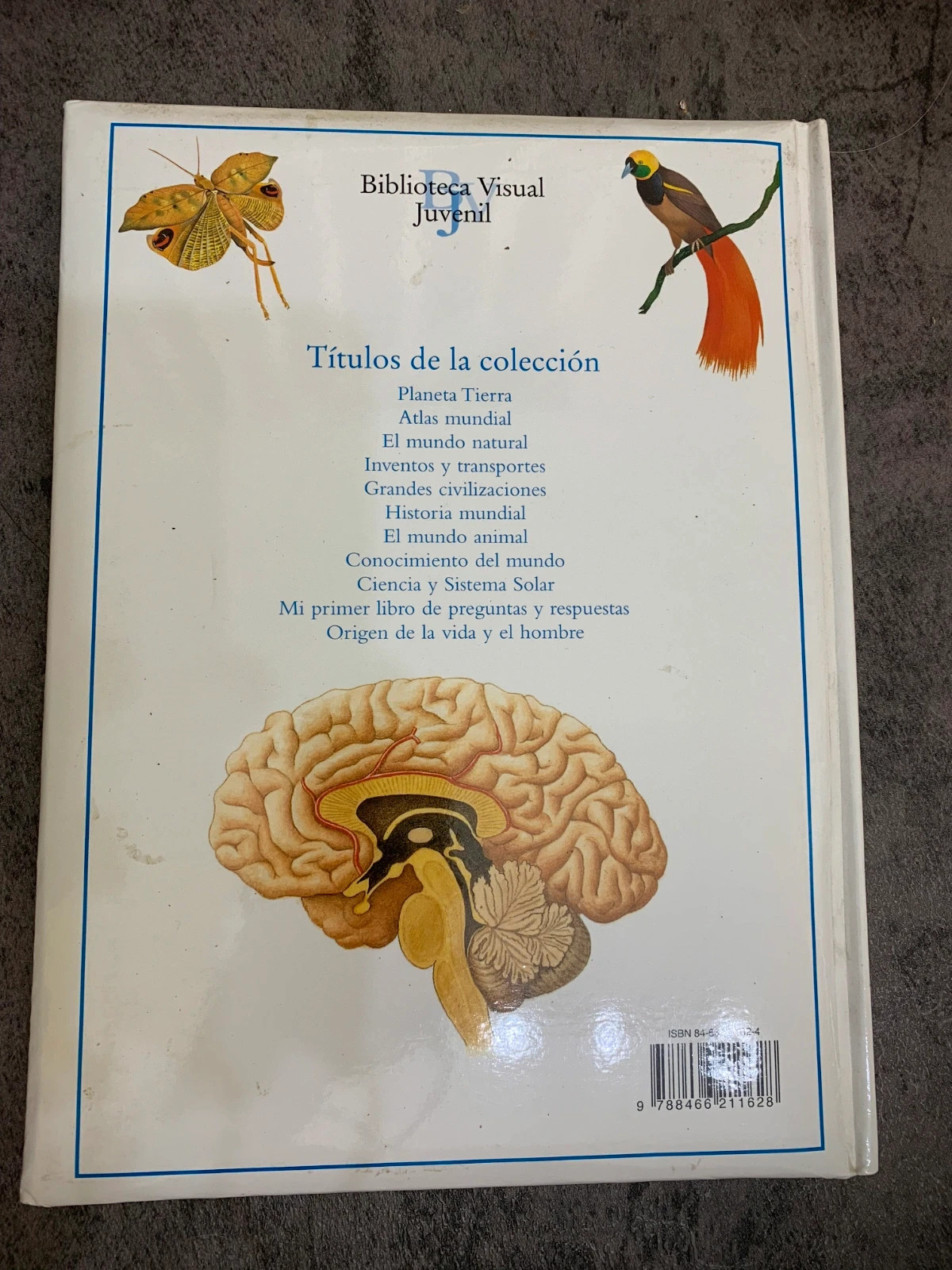 Libro Origen de la vida y el hombre 2