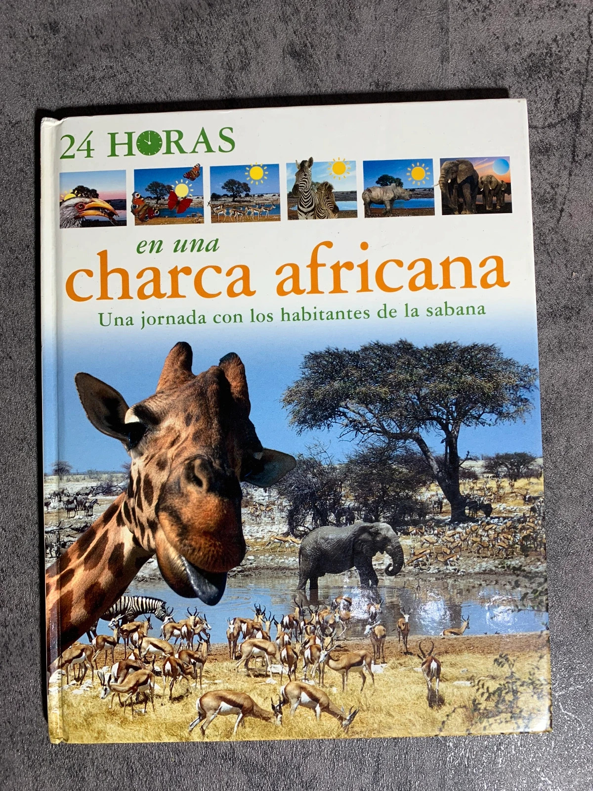 Libro 24 horas en una Charca Africana | Circulo de Lectores 2