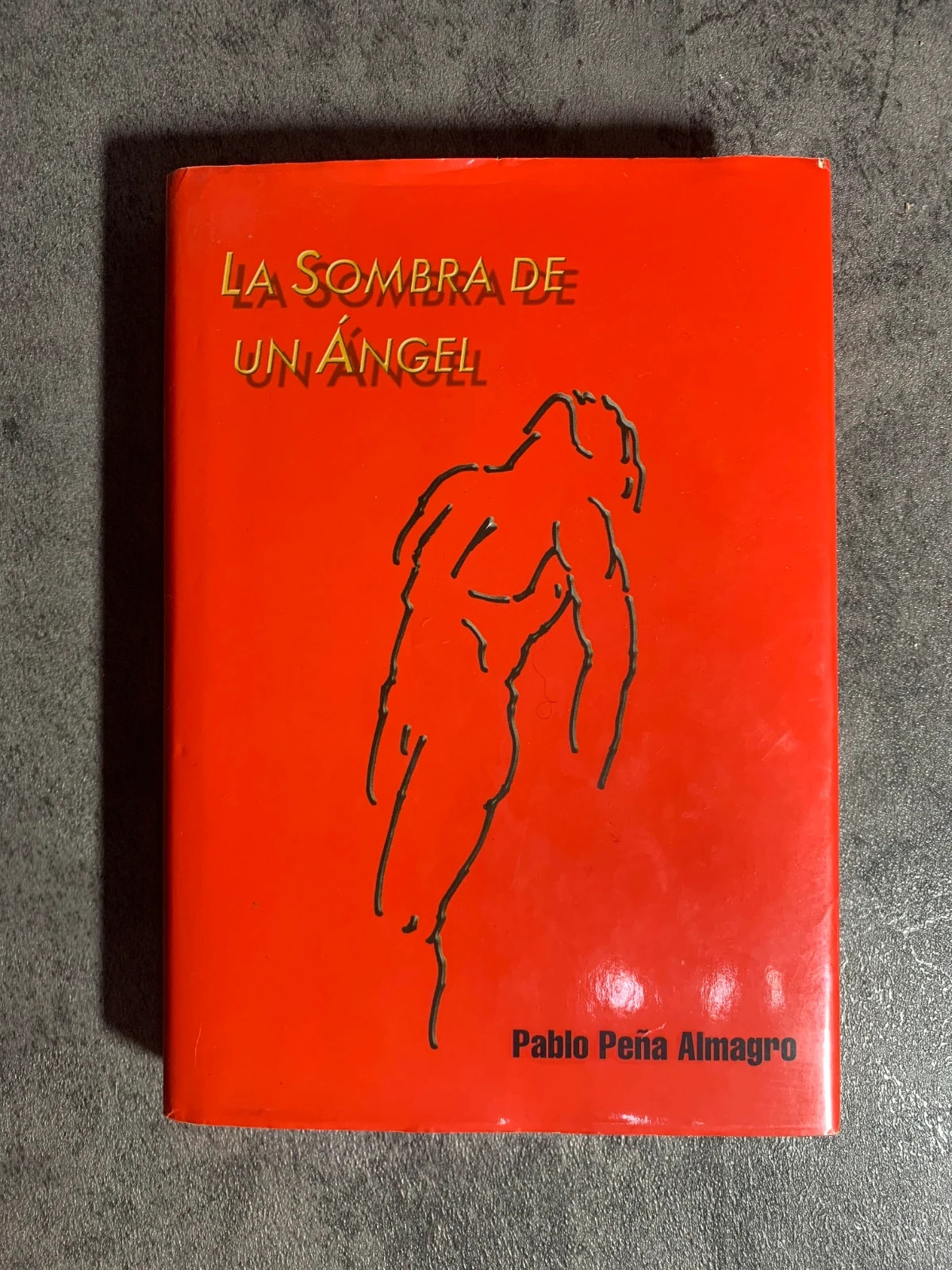 Libro La Sombra de un Ángel | Pablo Peña Almagro 2
