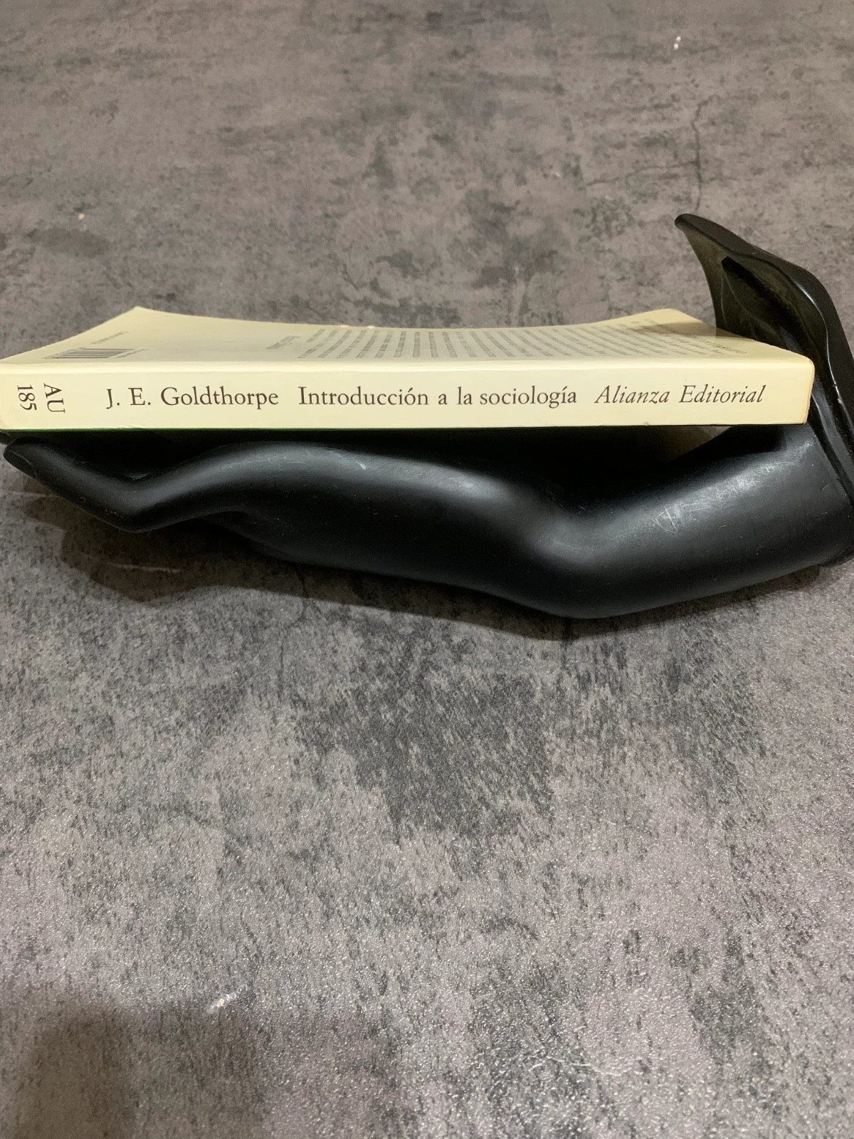 Libro Introducción a la Sociología | J.E. Goldthorpe 4