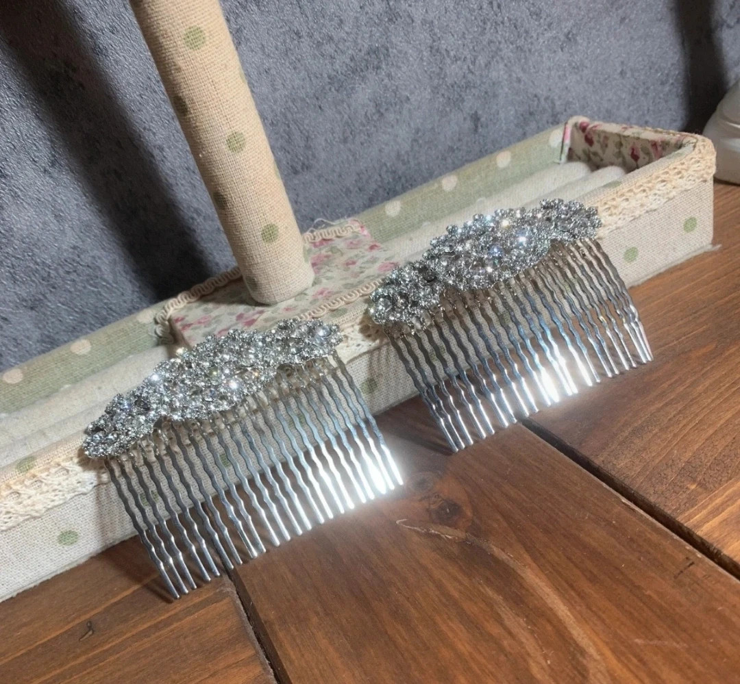Par de Peinetas Plateadas | Pair of Silver Hair Combs | Paire de Peignes Argentés 2