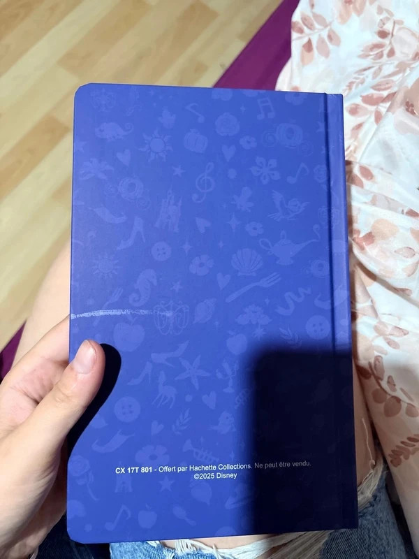 Cahier de Notes la belle et la bête neuf – Disney 2