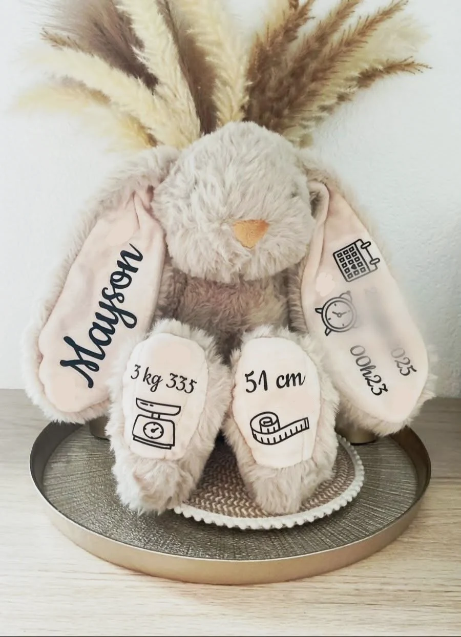 Lapin naissance – Sans marque 2