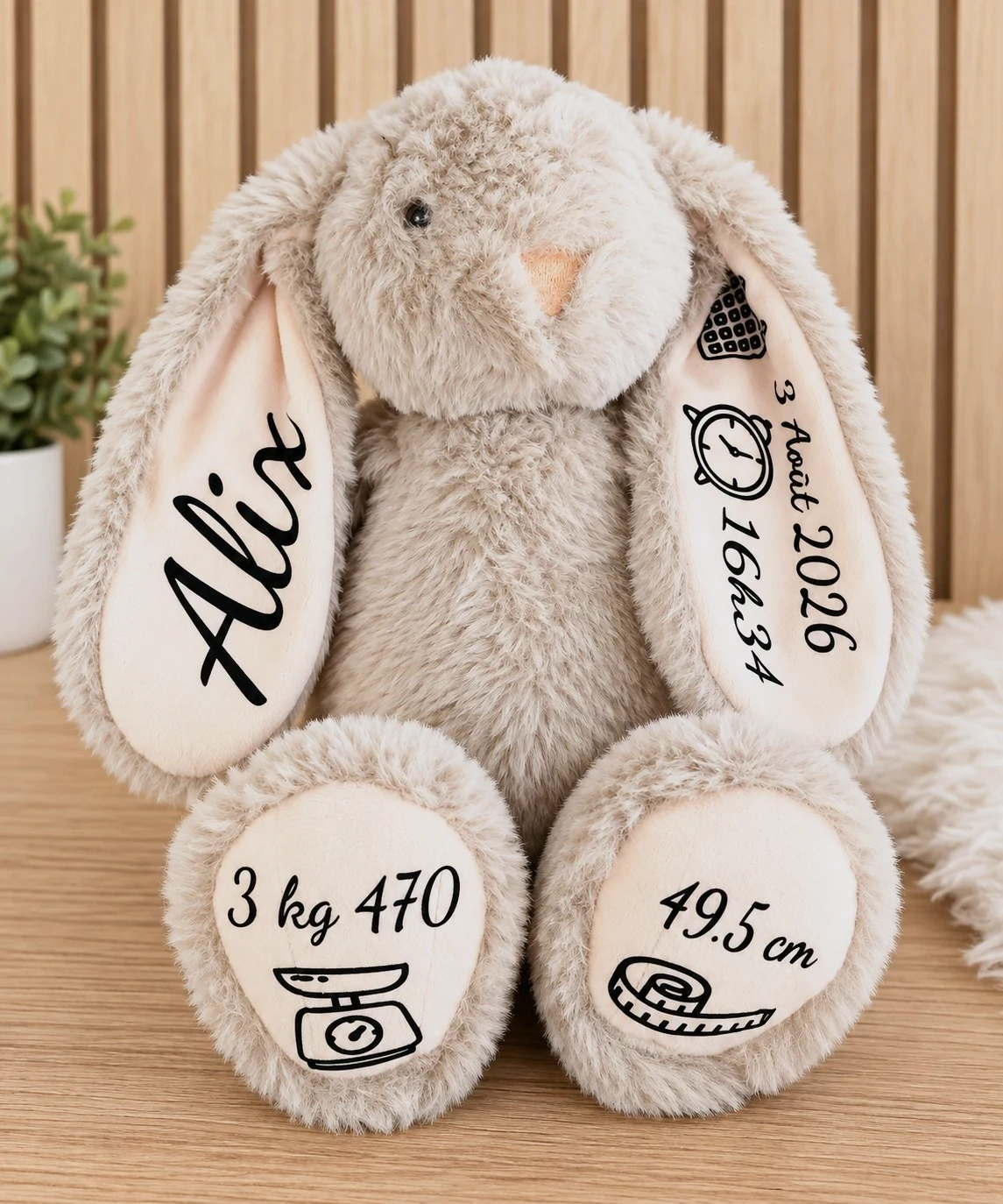 Lapin naissance