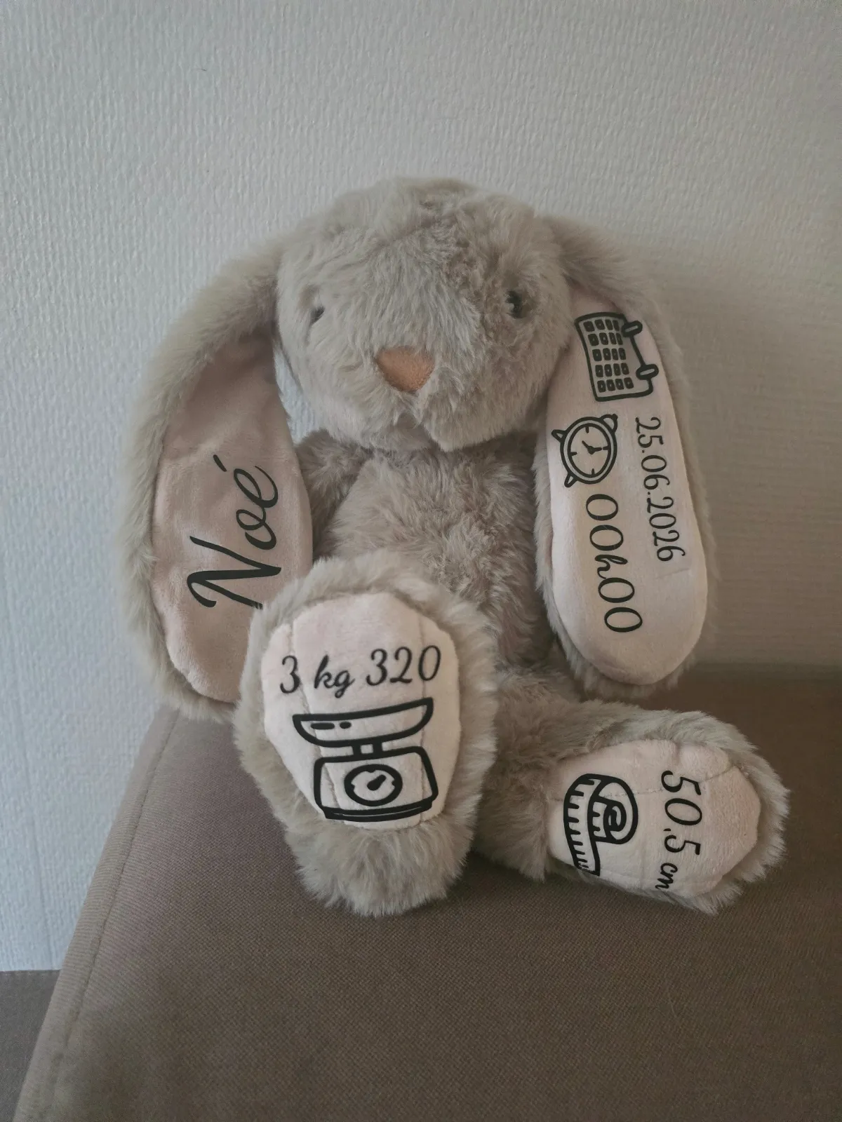 Lapin naissance – Sans marque 3