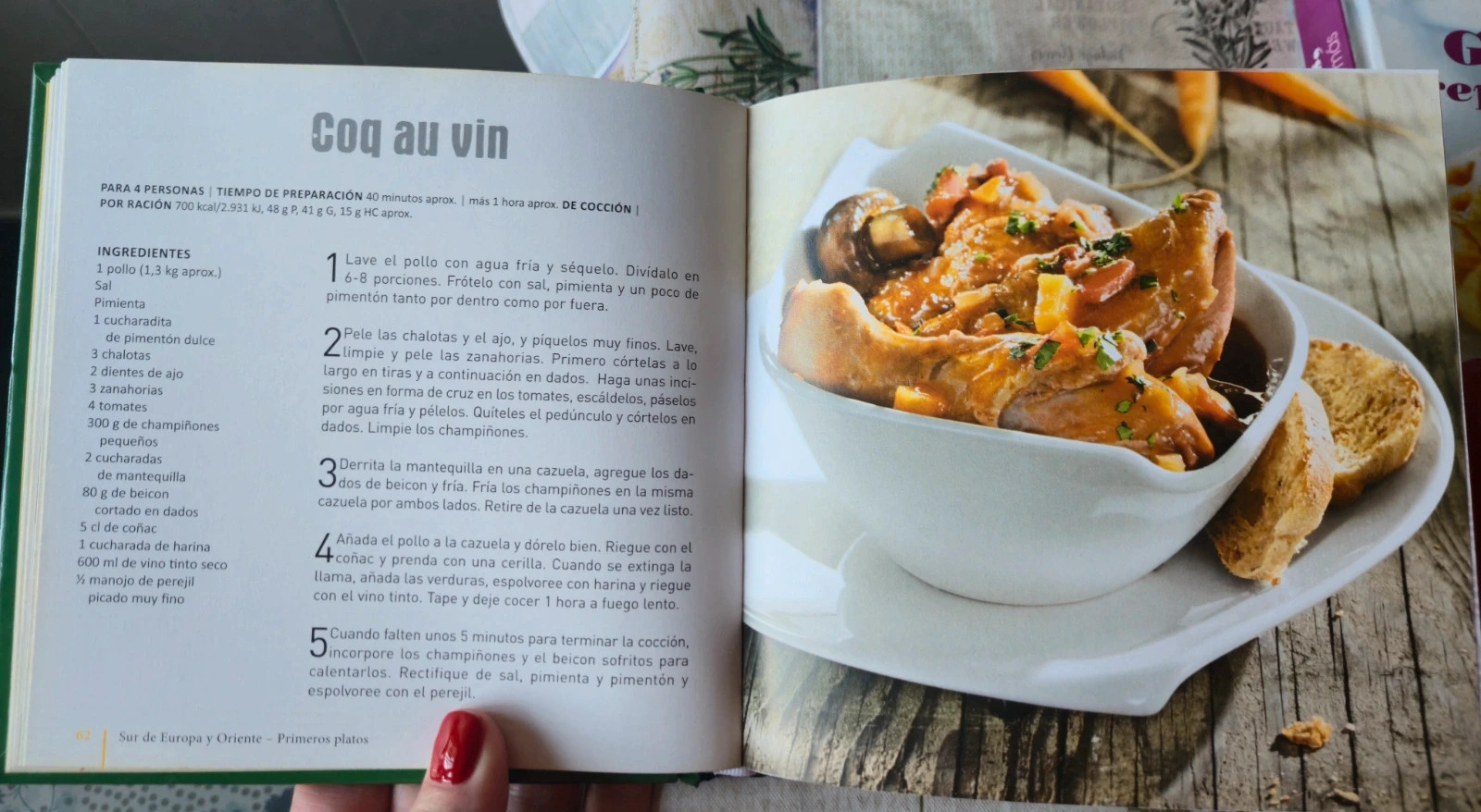 5 mini libros de comidas del mundo 4