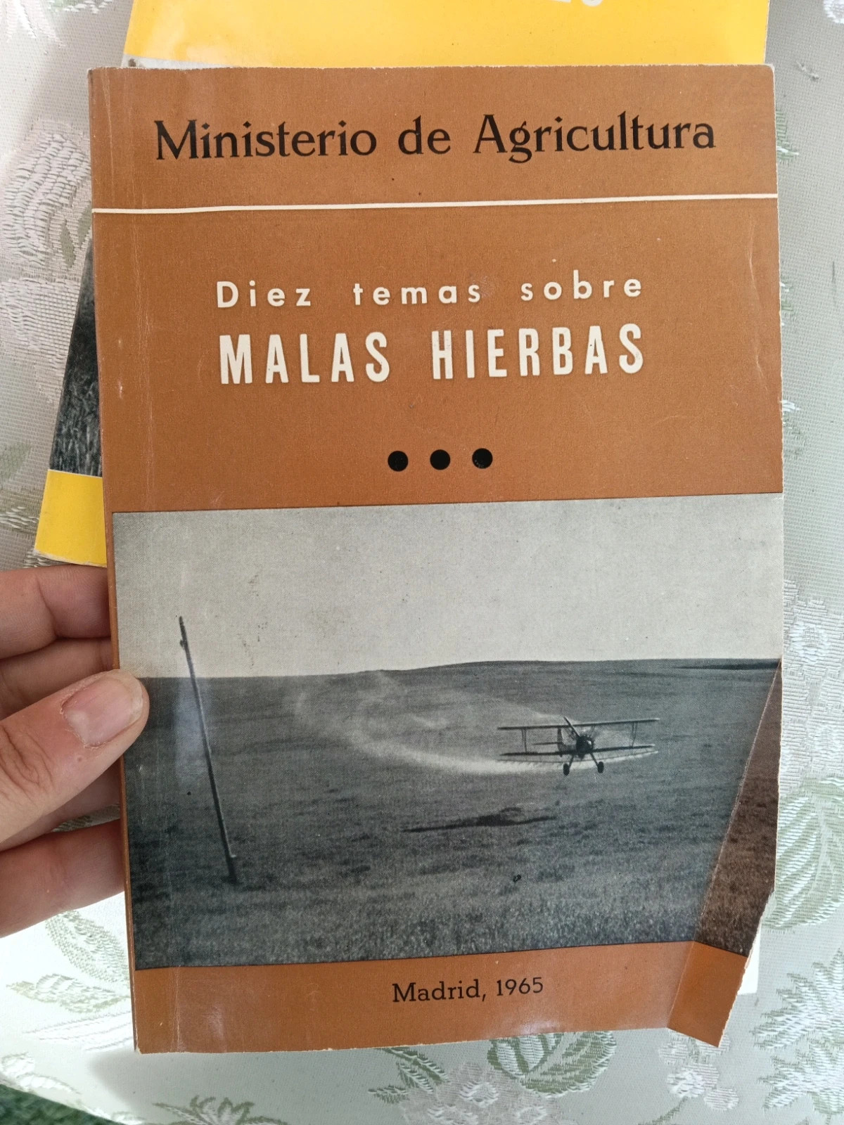 Lote 2 libros antiguos (1965) ministerio de agricultura malas hierbas y cereales – Ministerio de Agricultura 2