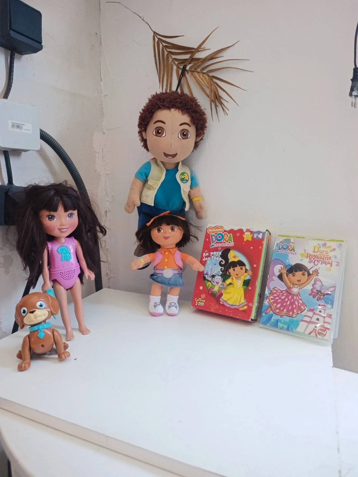 Lot Dora diego