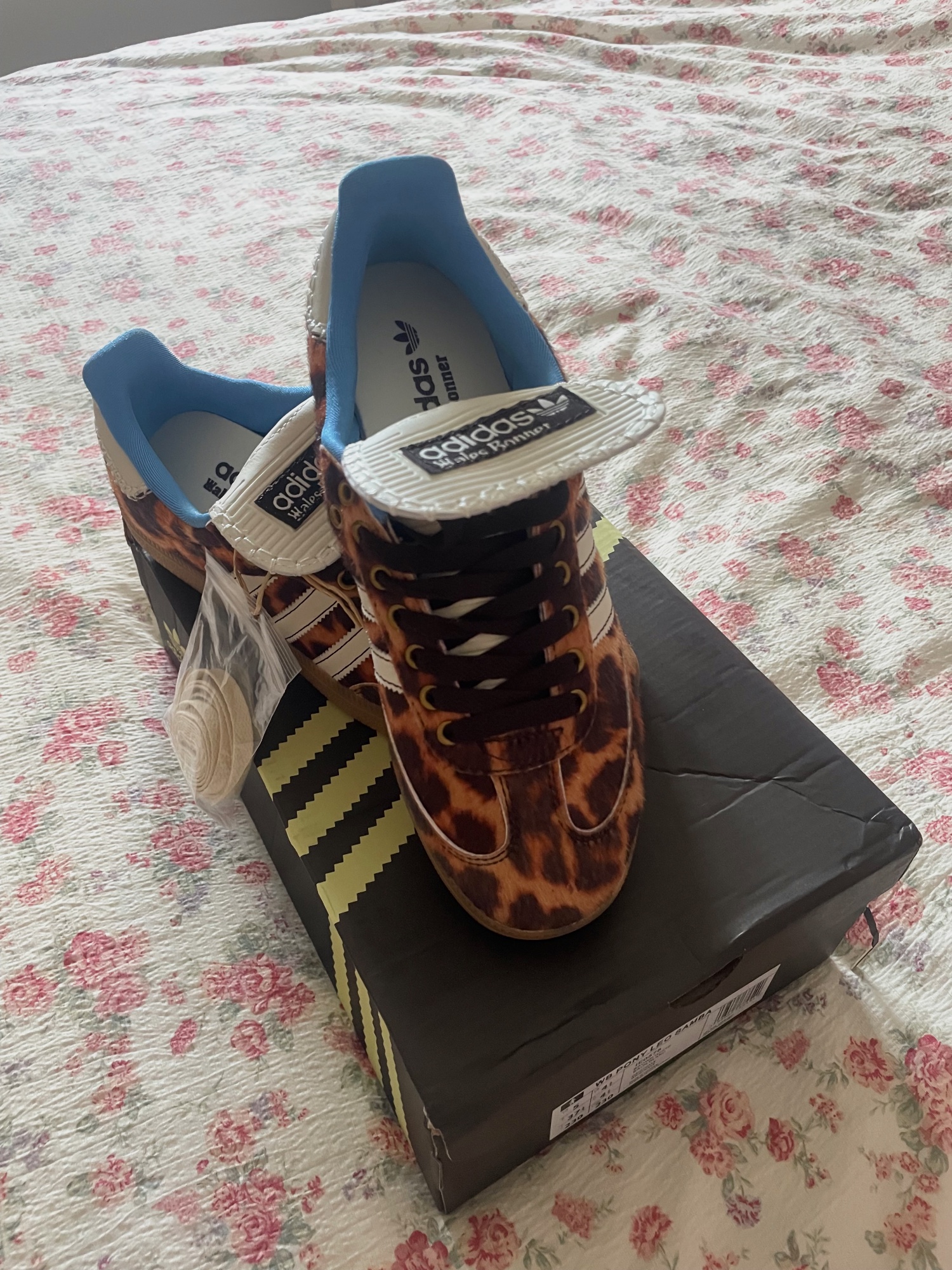 Basket Adidas – Adidas – taille EU 37