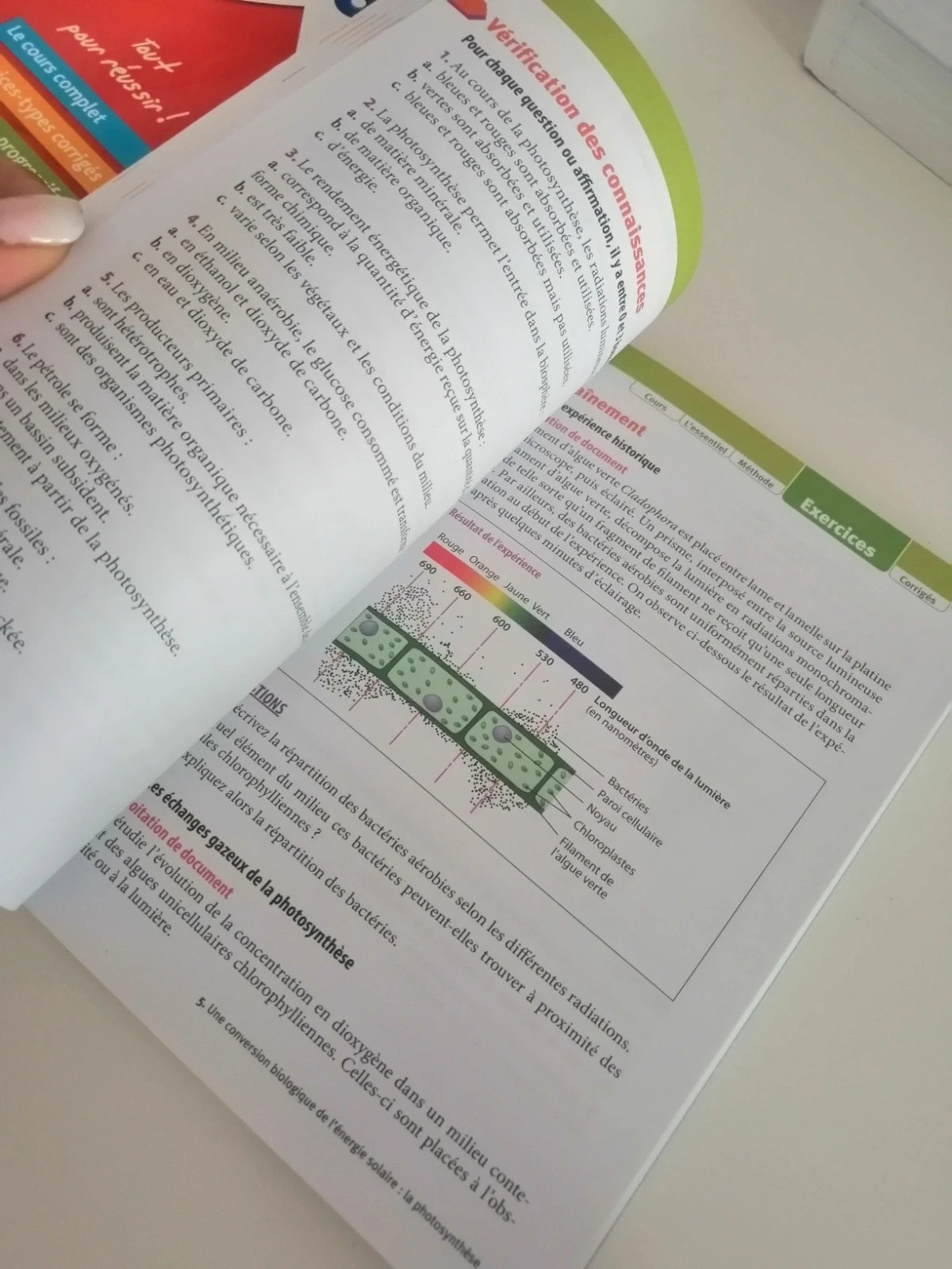 Abc réussite Enseignement scientifique 1er – nathan 3