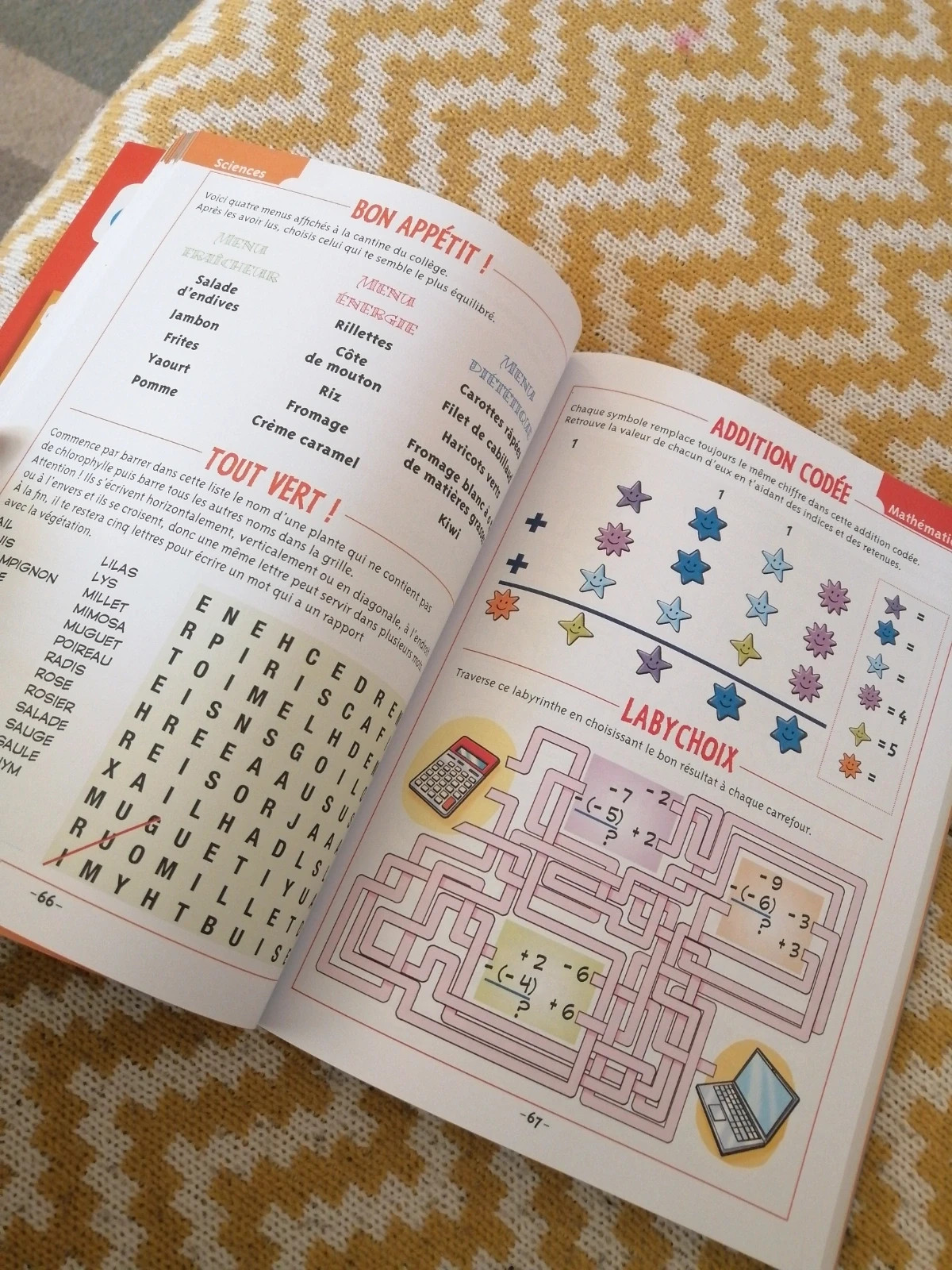 Cahier révision 5eme 5
