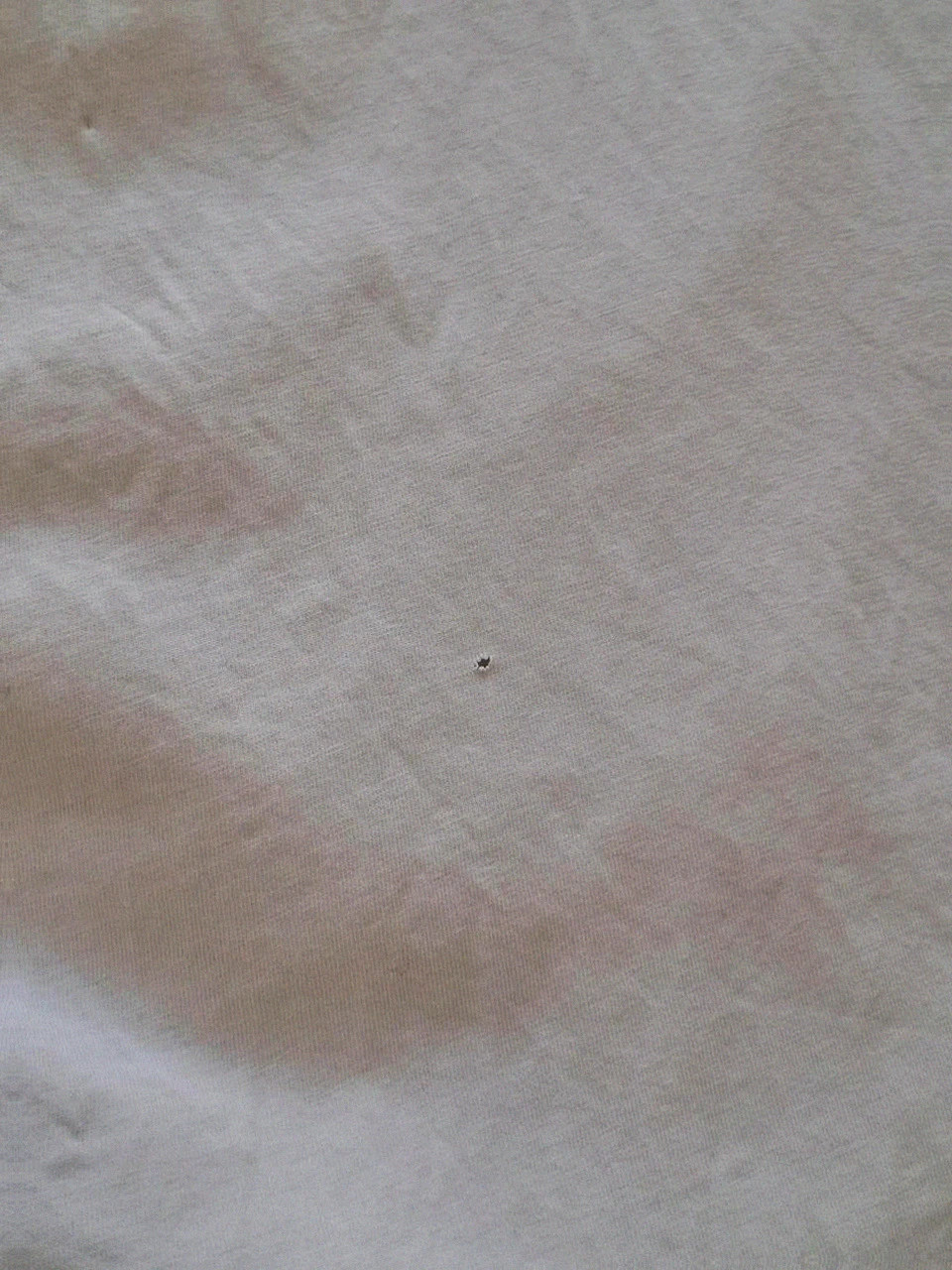 T-shirt Blanc - Taille L - Tommy Hilfiger – Tommy Hilfiger – taille L 3