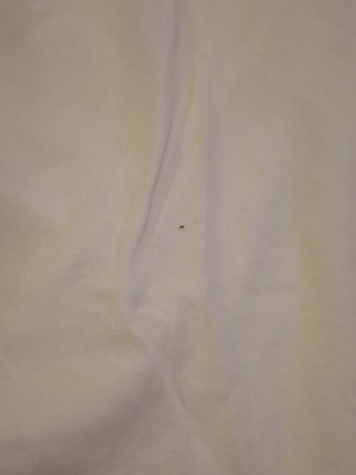 Lot de hauts et t-shirts pour homme – Lacoste – taille L 3