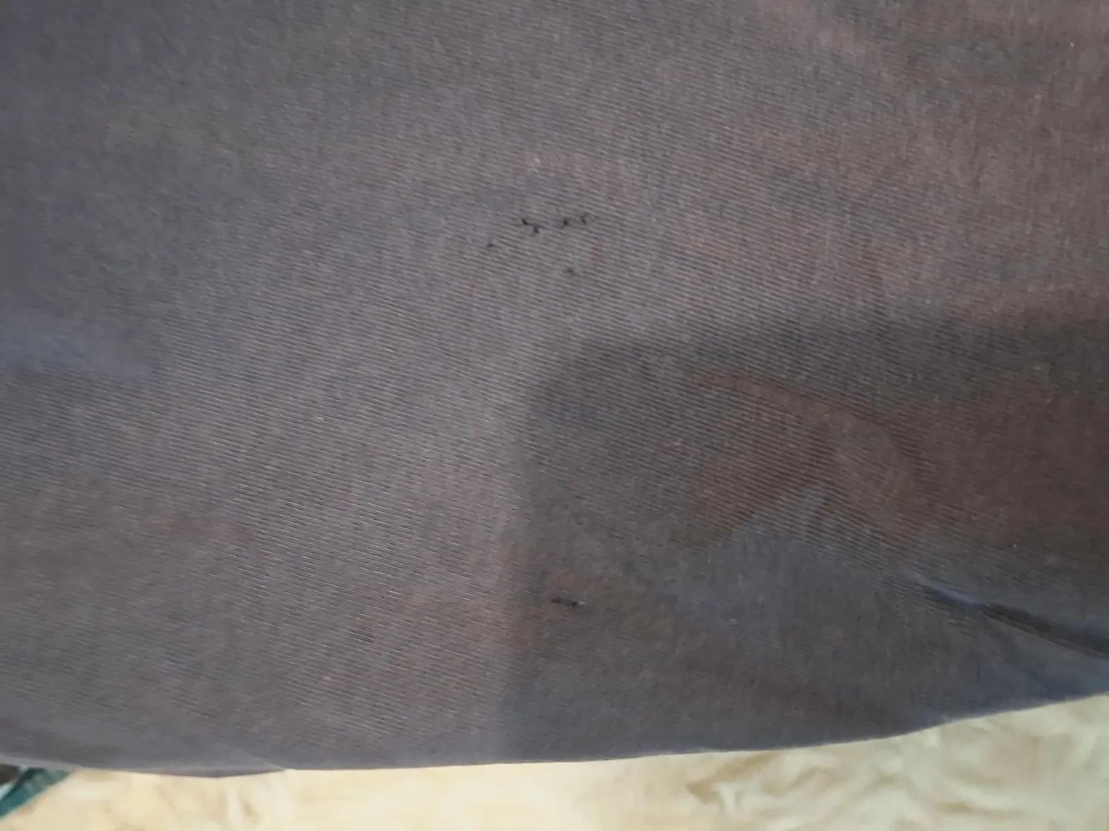 Lot de hauts et t-shirts pour homme – Lacoste – taille L 9