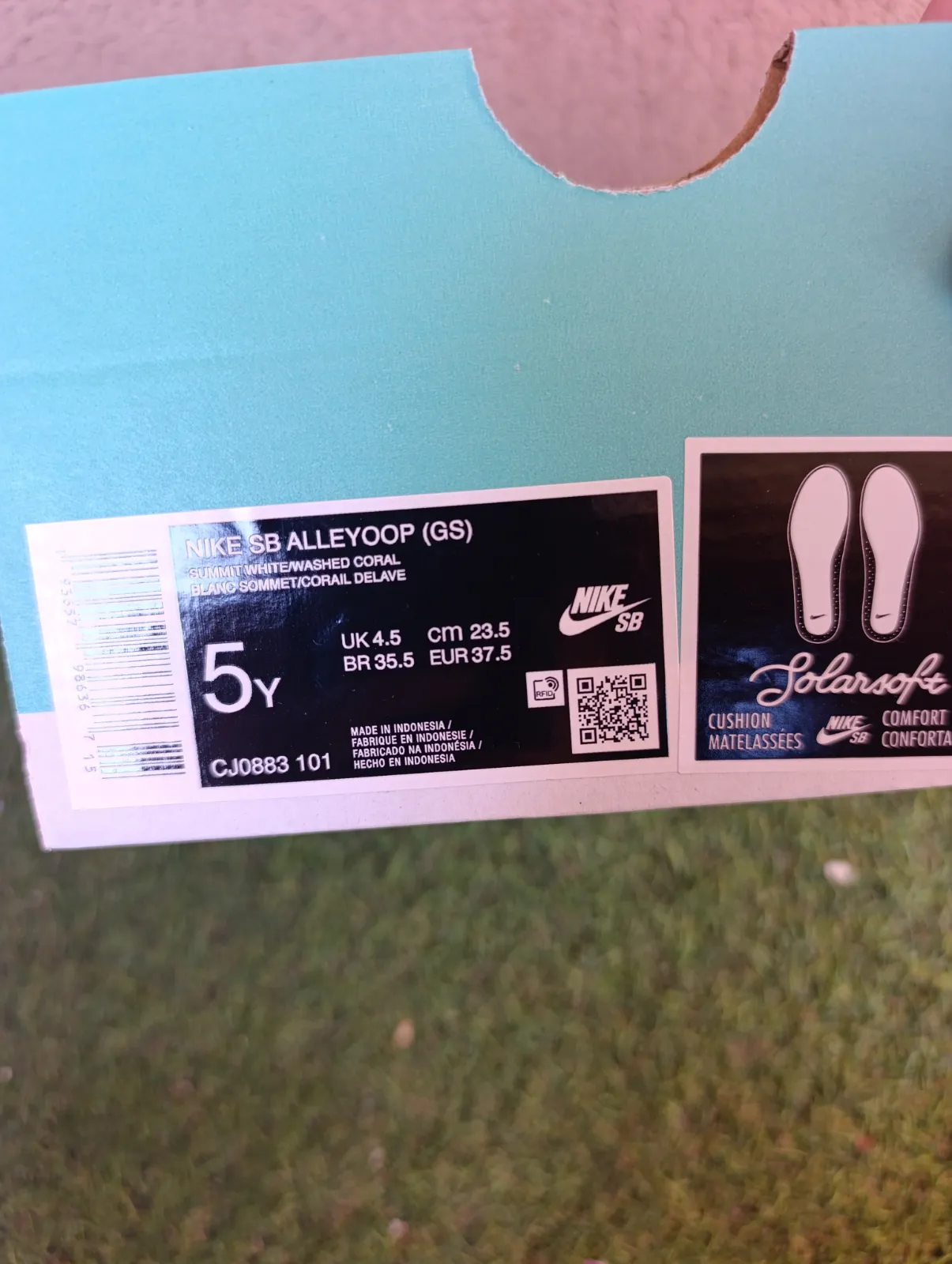 Nike SB Alleyoop 7