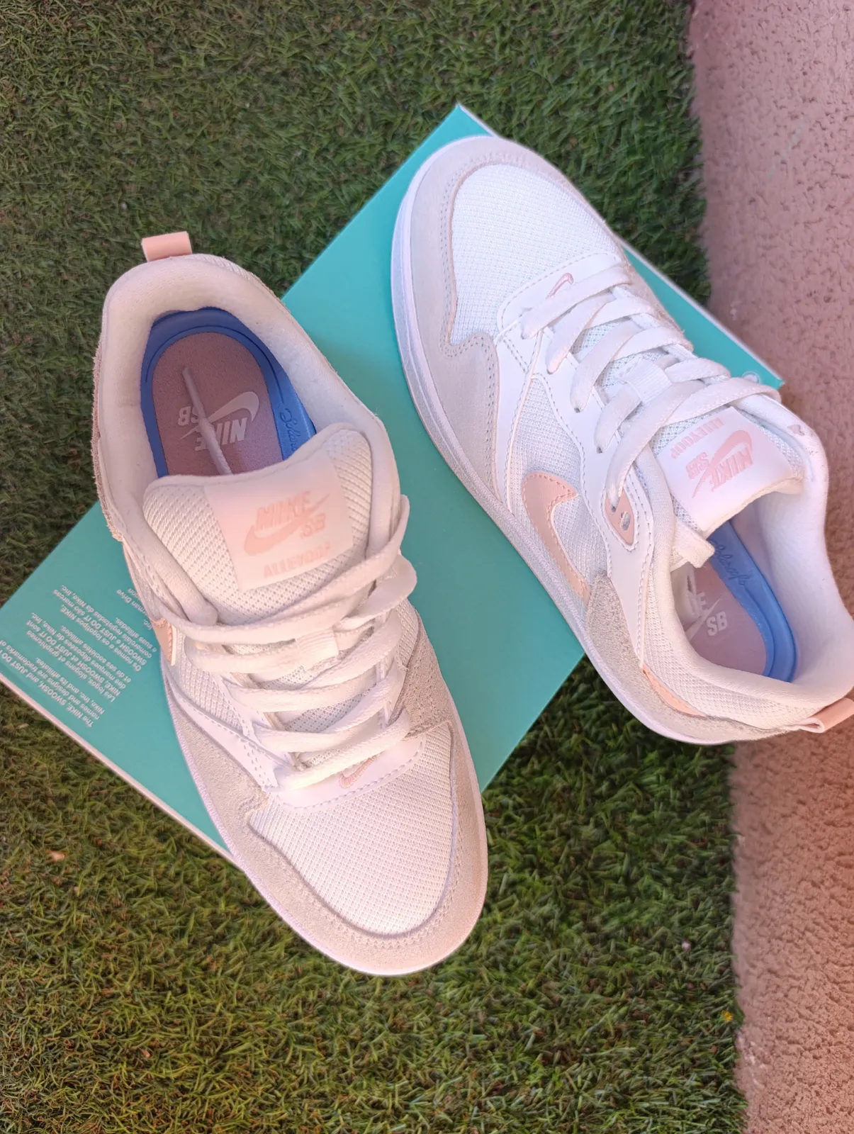Nike SB Alleyoop 2