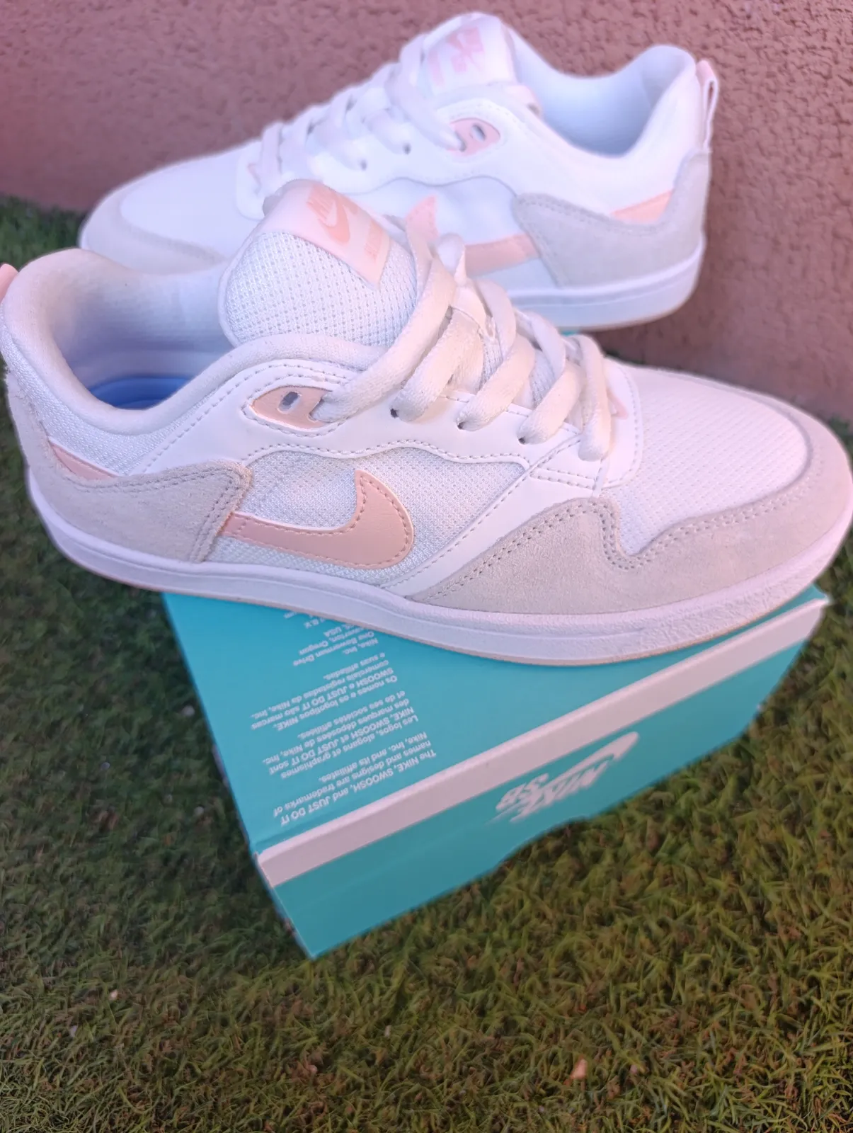 Nike SB Alleyoop 3