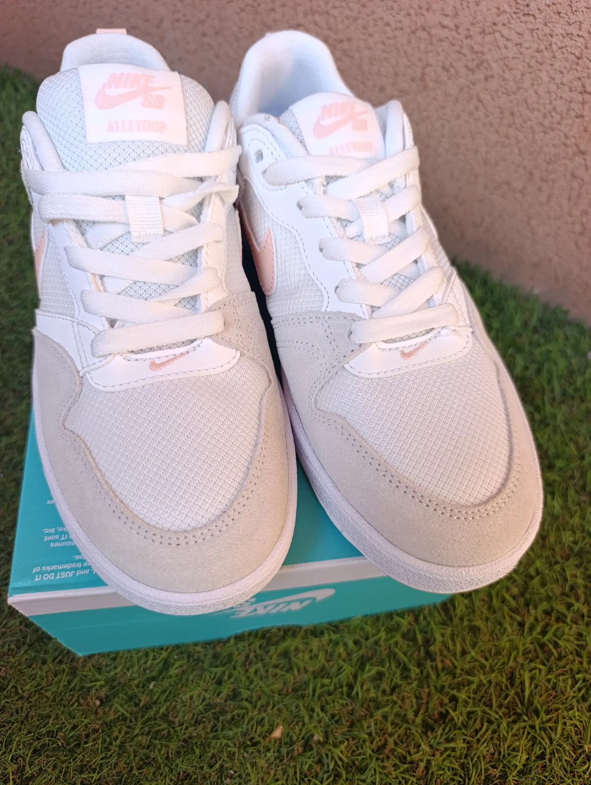 Nike SB Alleyoop 5