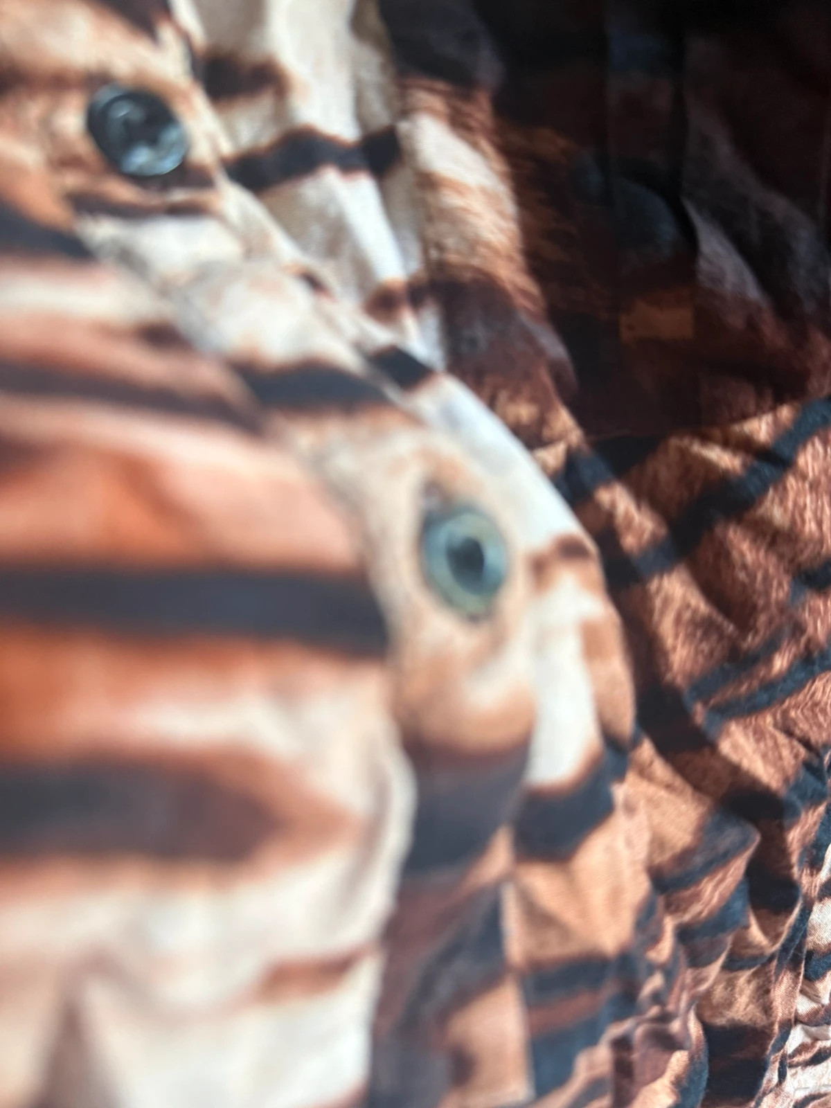 Camisa animal print – Calvin Klein – taille M / 38 / 10 2