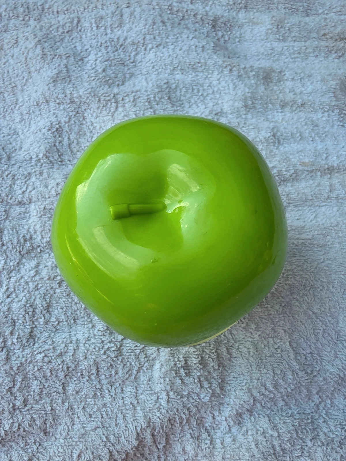 Boîte de conservation pomme verte (grand modèle)