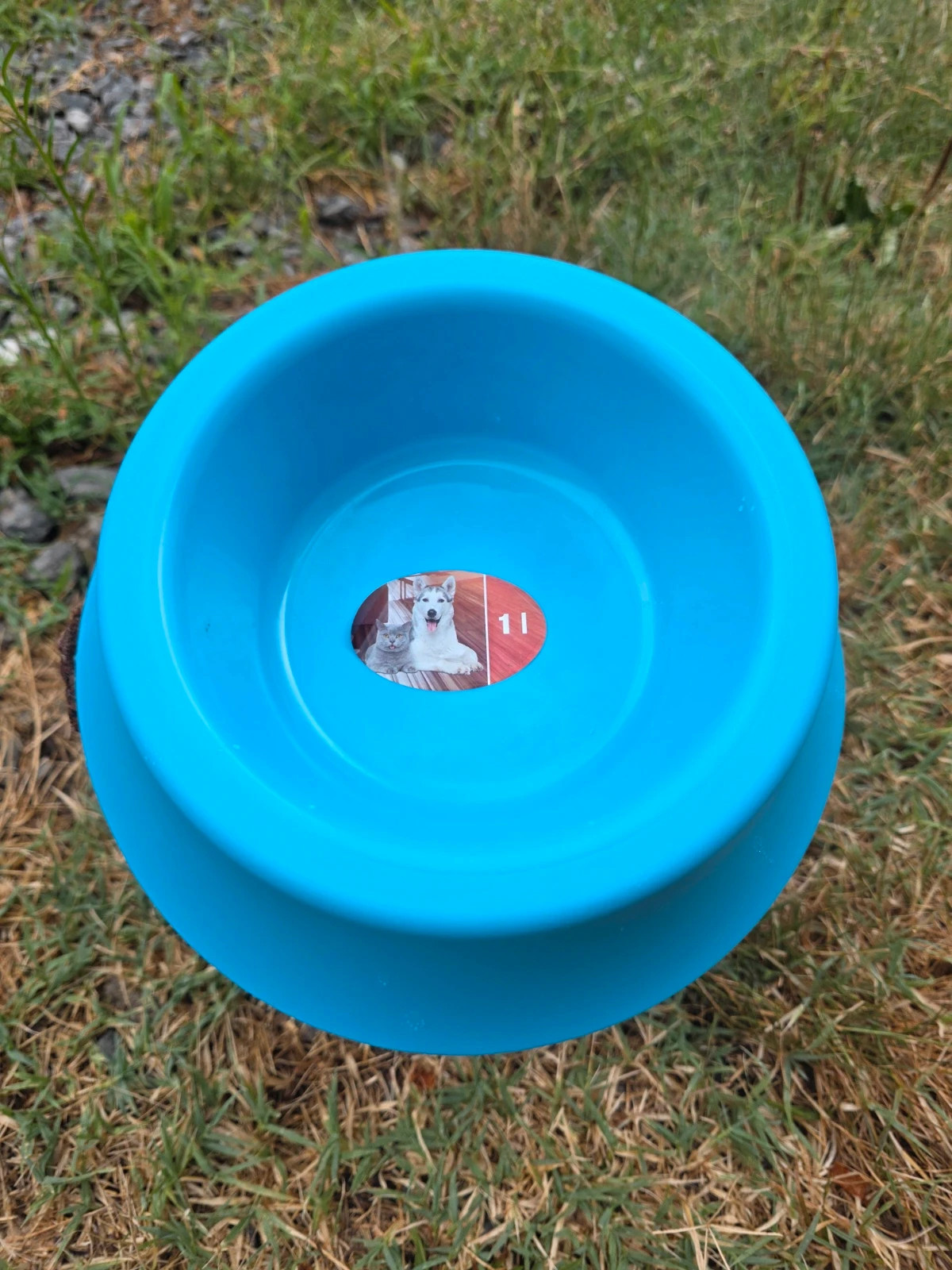 Gamelle ronde chien/chat 1 L – Bleue