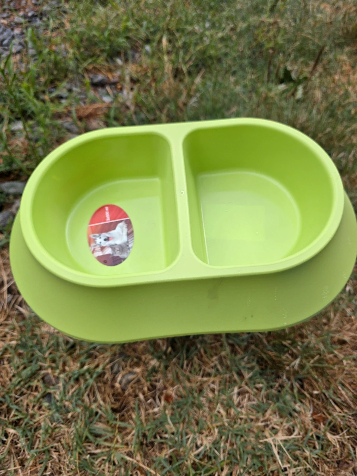 Gamelle double chien/chat 2 × 500 ml – Verte