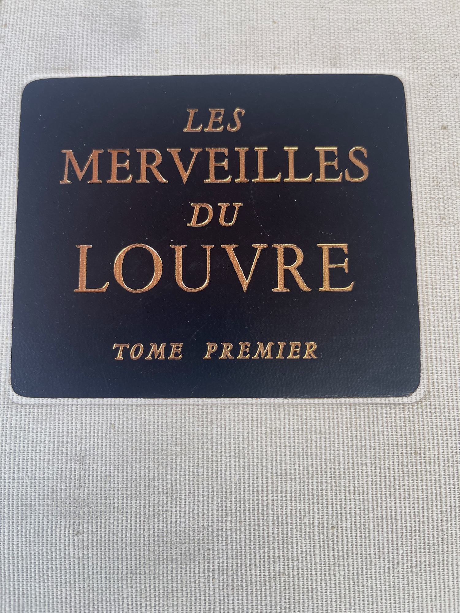 Livre Les Merveilles du Louvre Tome Premier