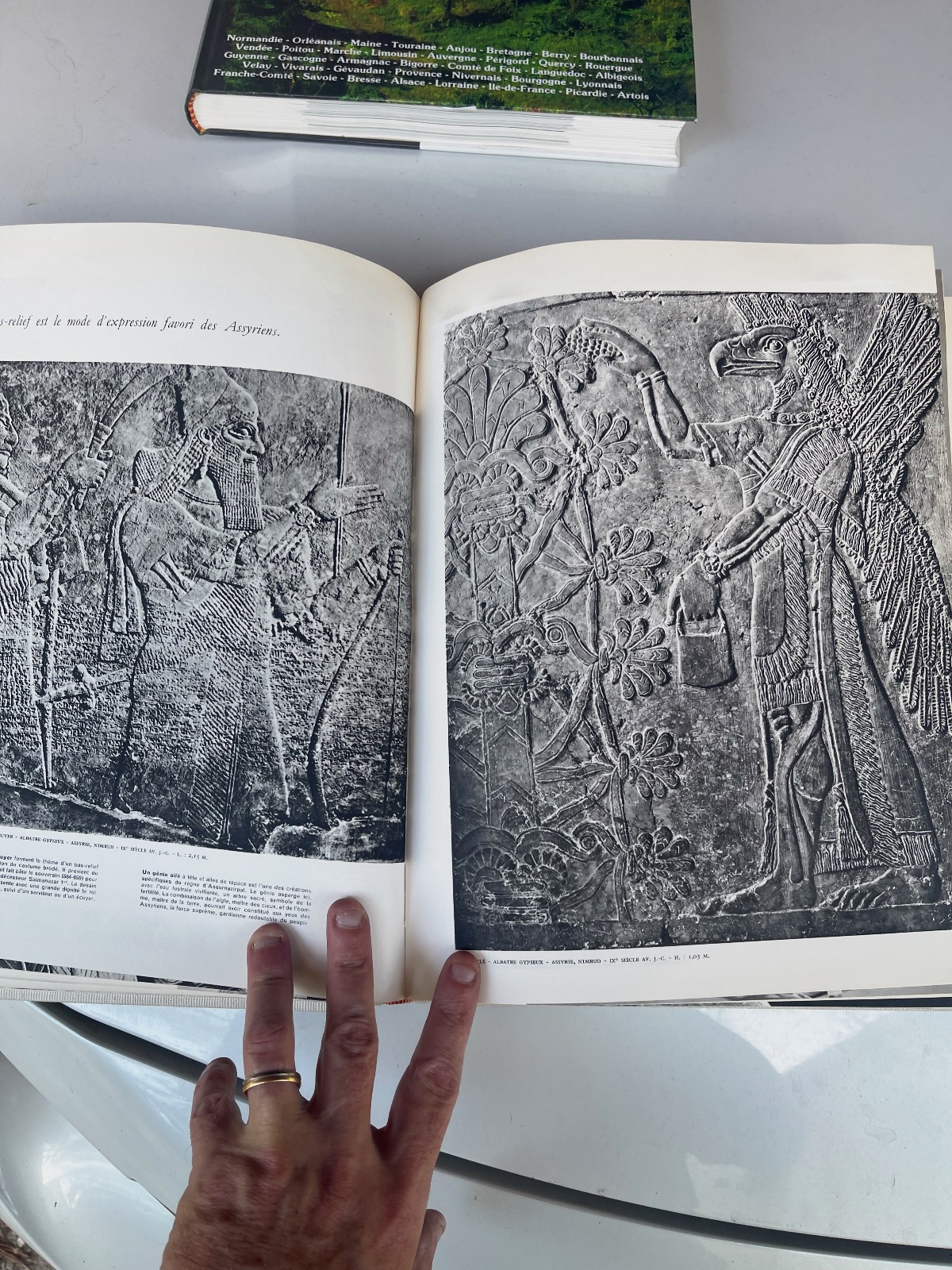 Livre Les Merveilles du Louvre Tome Premier – Sézane 5