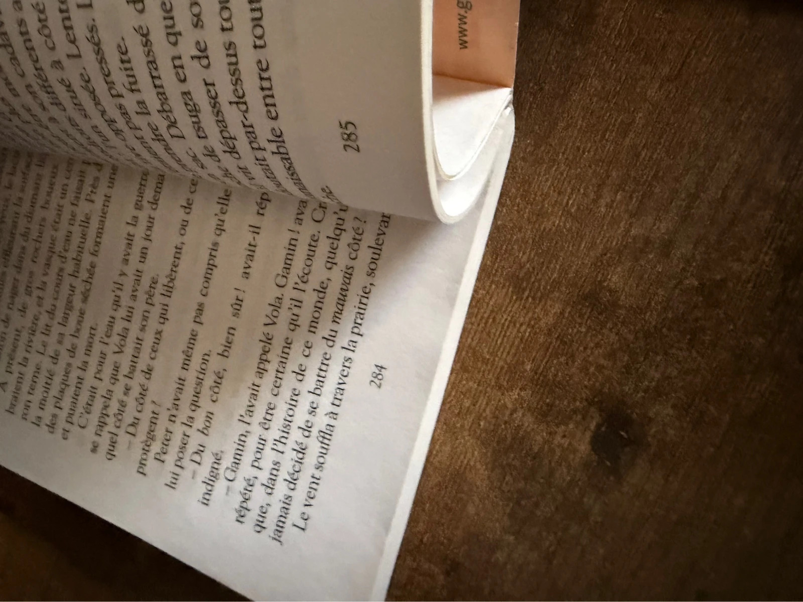 Pax et le petit soldat - Sara Pennypacker 3