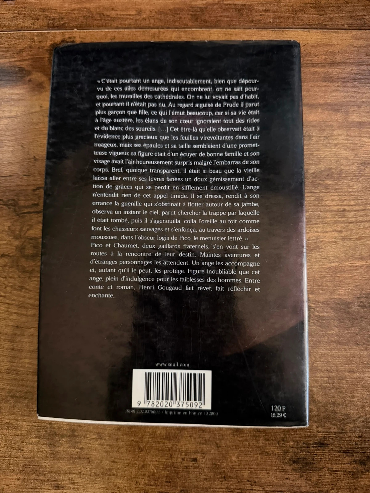 Le Rire de l'Ange – Henri Gougaud – Roman 2