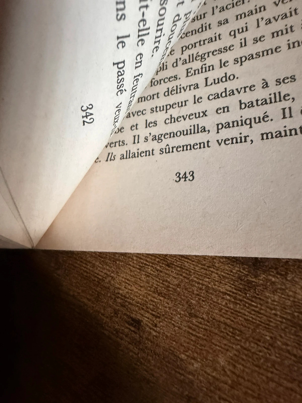 Yann Queffélec – Les noces barbares – Folio 2