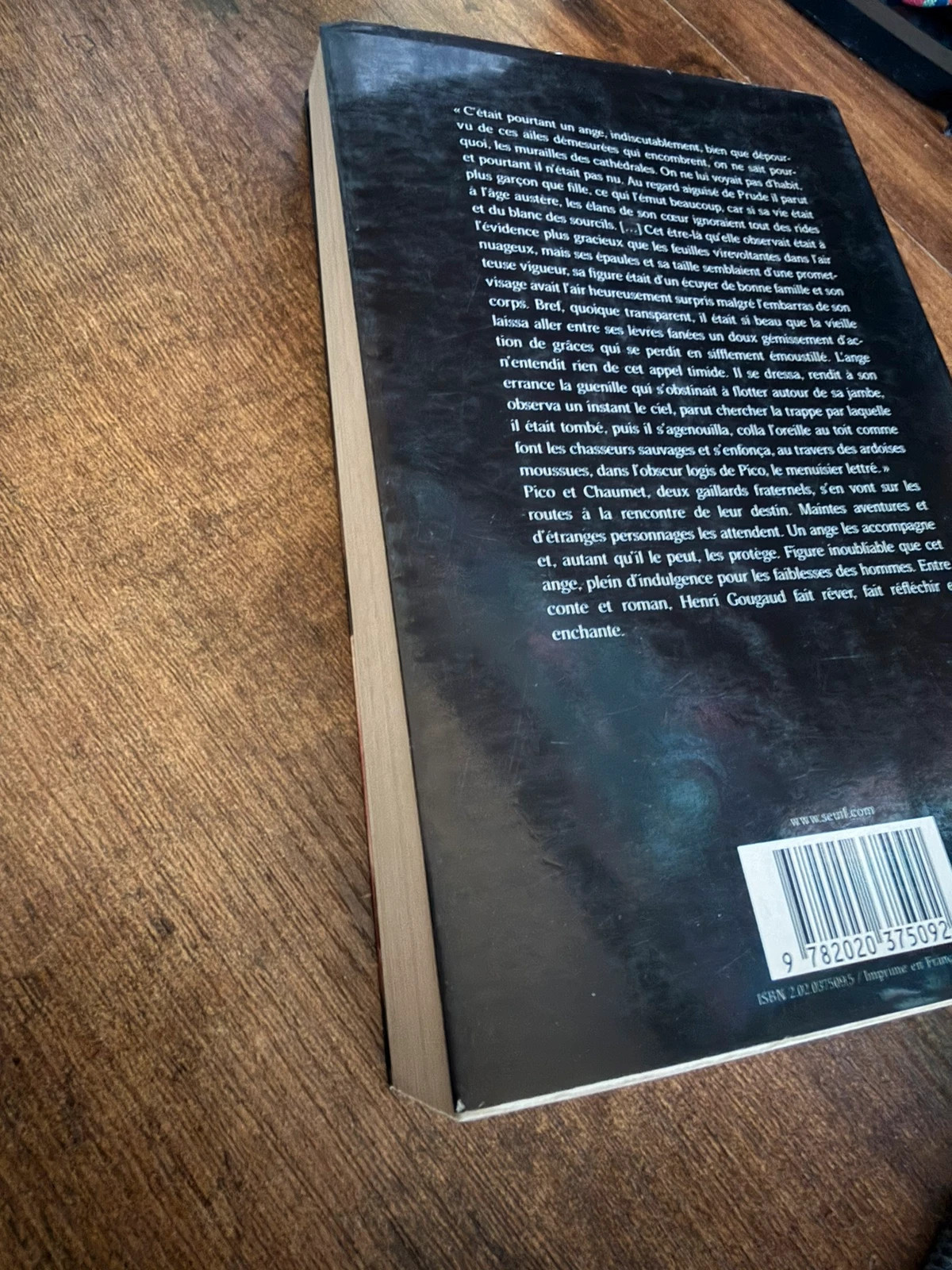 Le Rire de l'Ange – Henri Gougaud – Roman 3