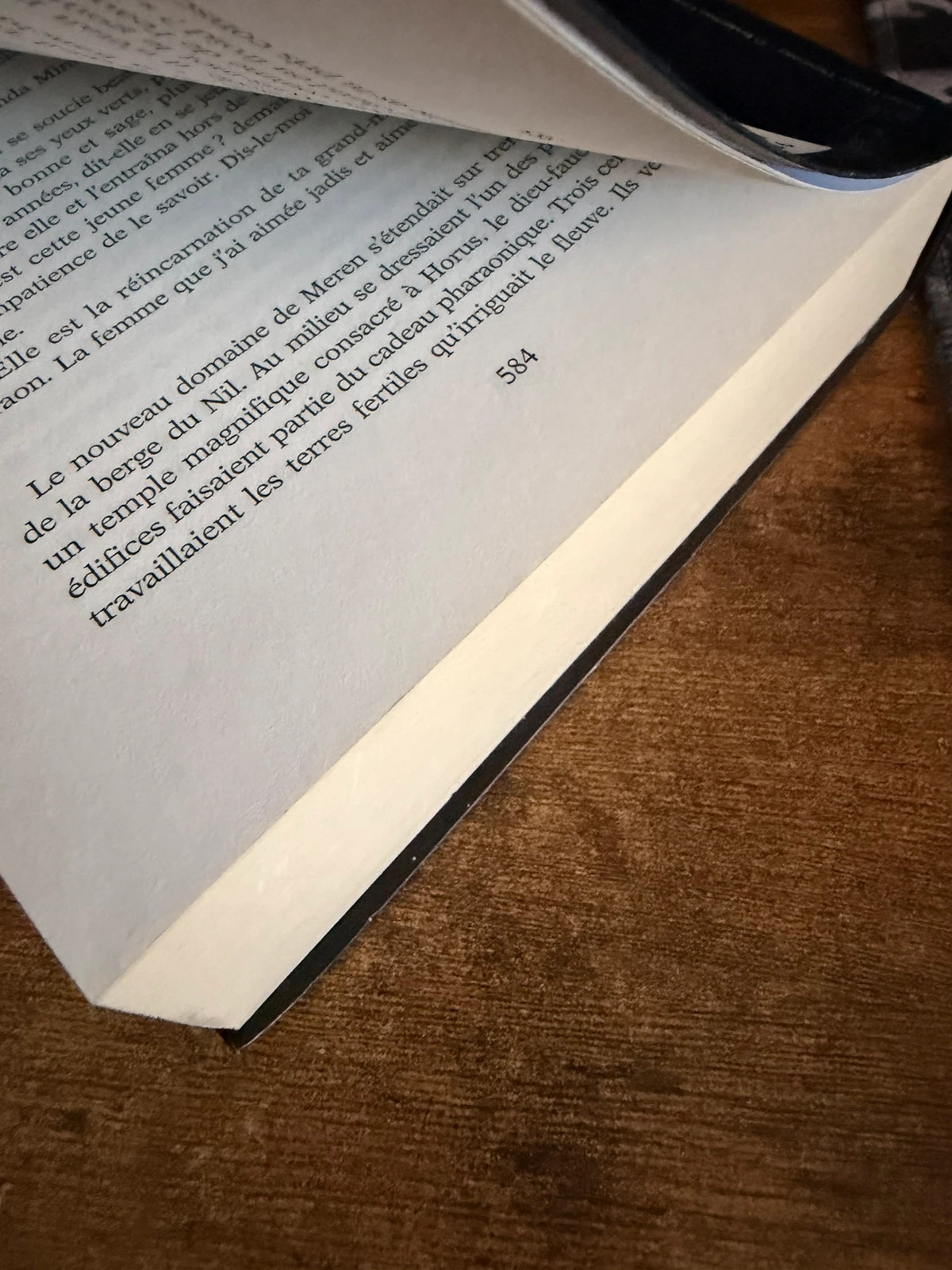 Roman Vengeance du Nil de Wilbur Smith. 3