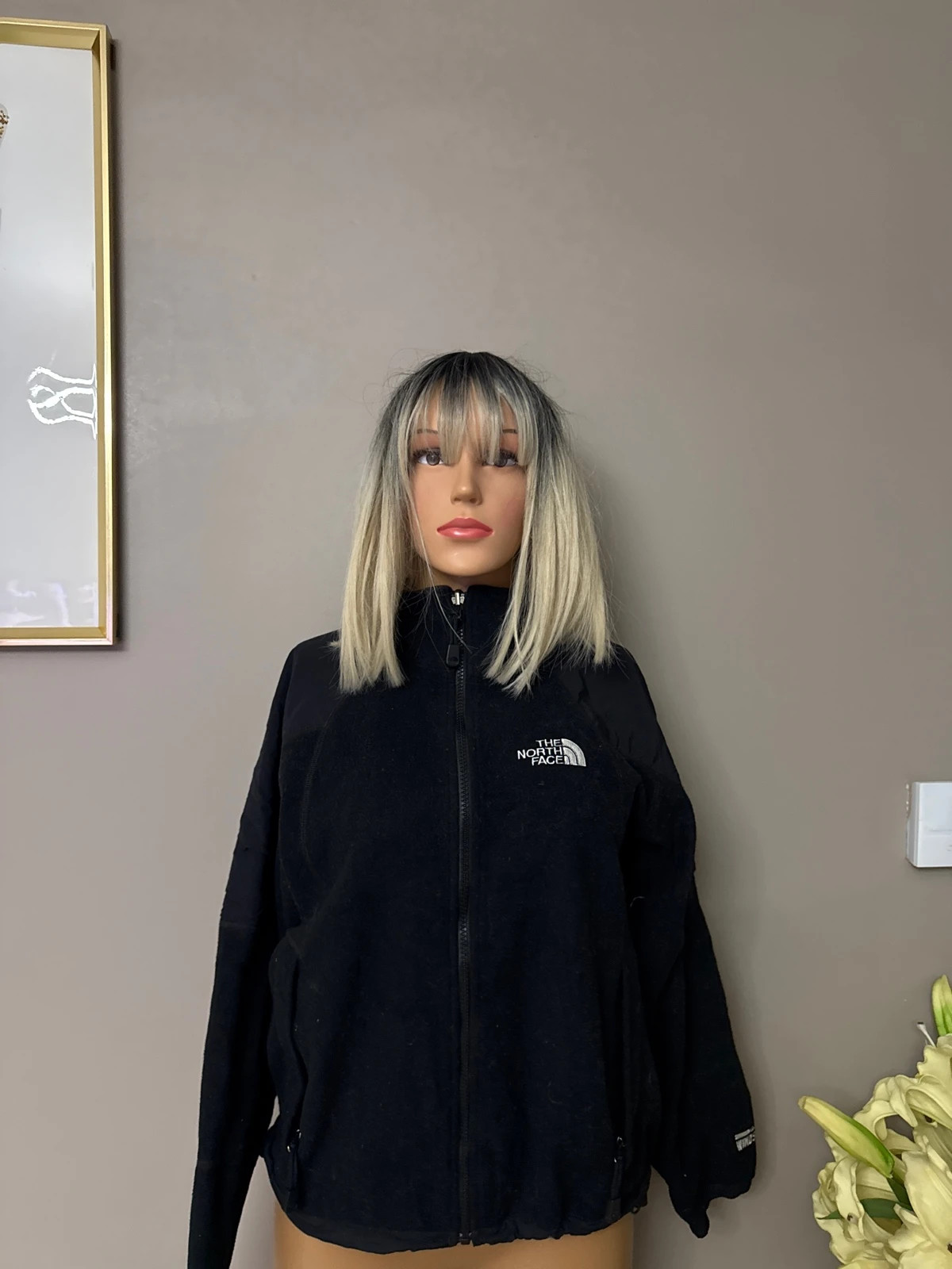 🍋 Veste the north face