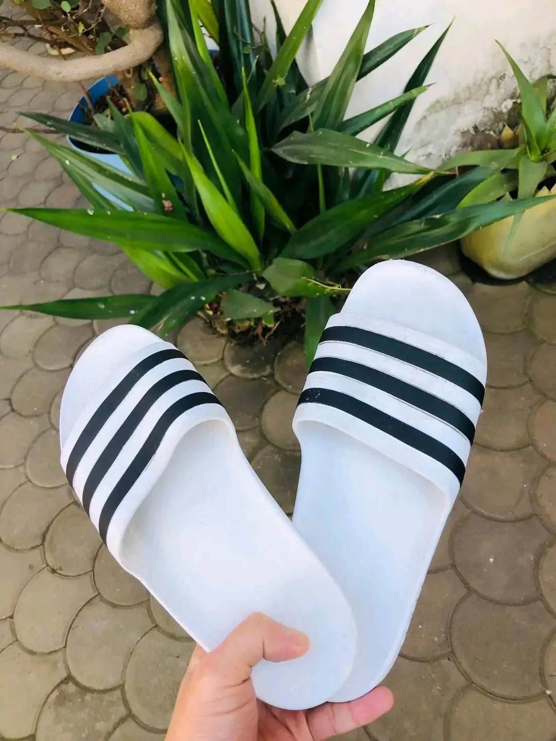 Adidas bandeau blanc sport