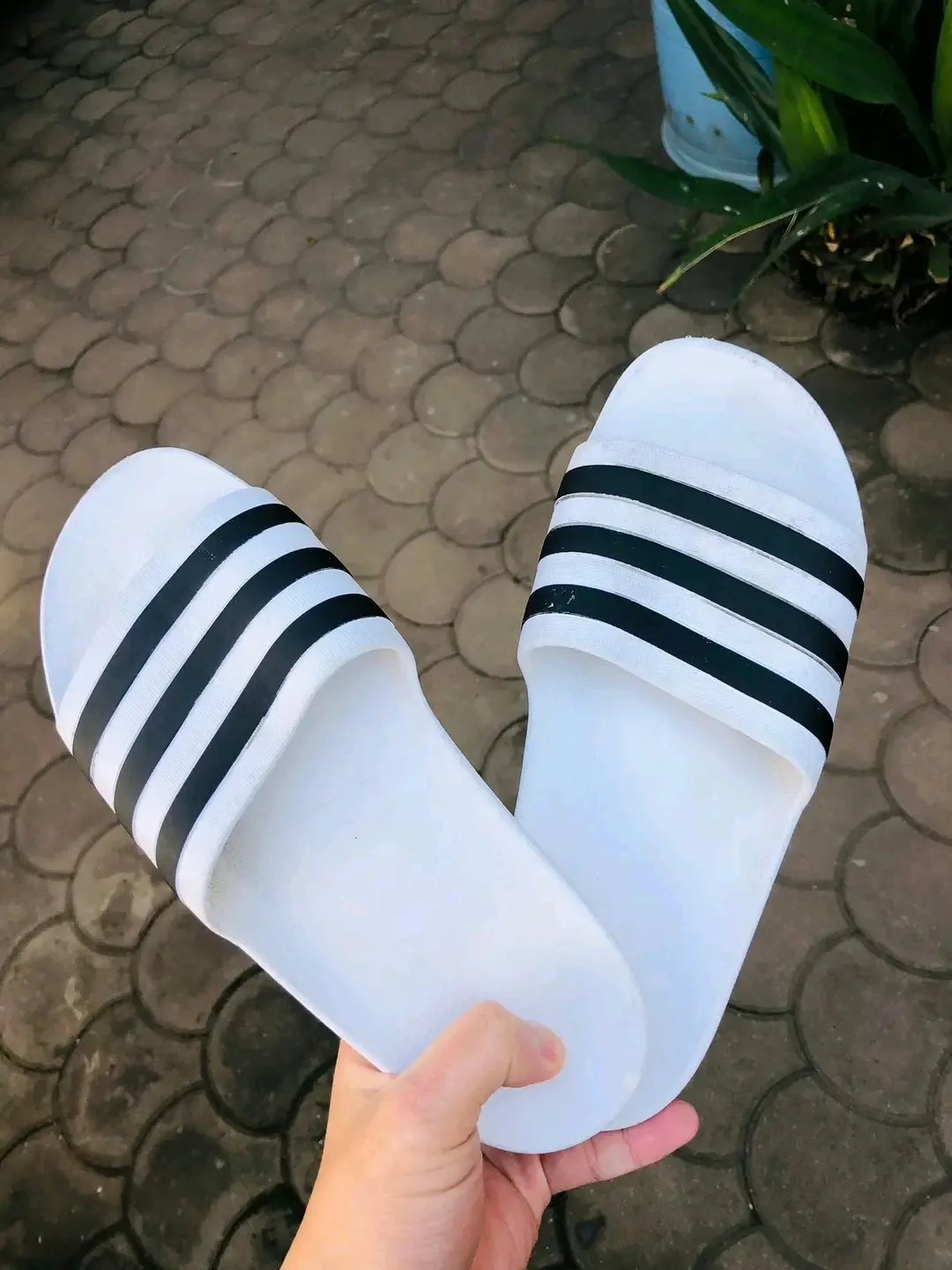 Adidas bandeau blanc sport 3