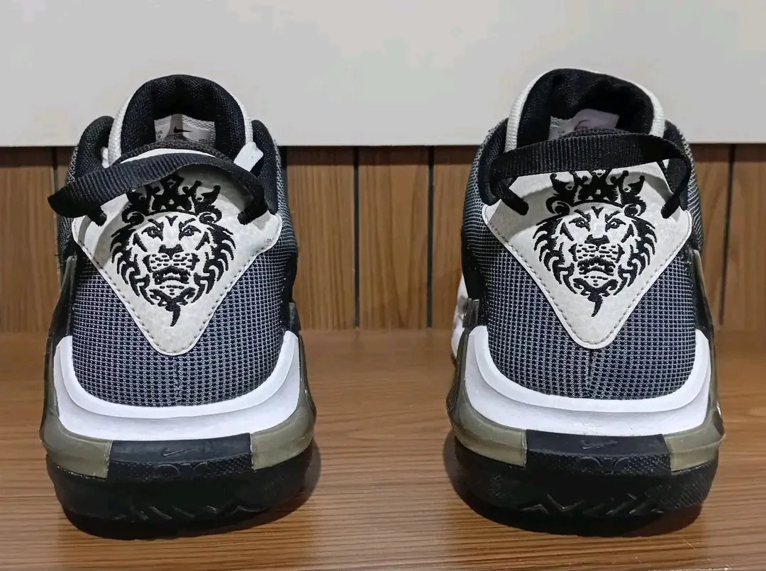Nike LeBron James Basketball Sneakers