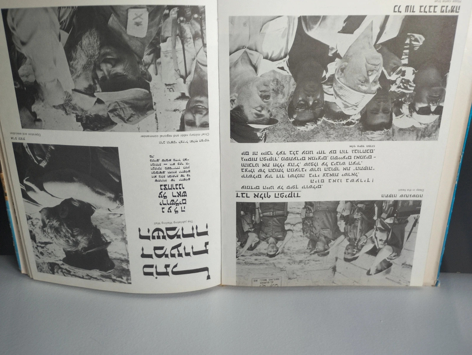 Our War for peace 5