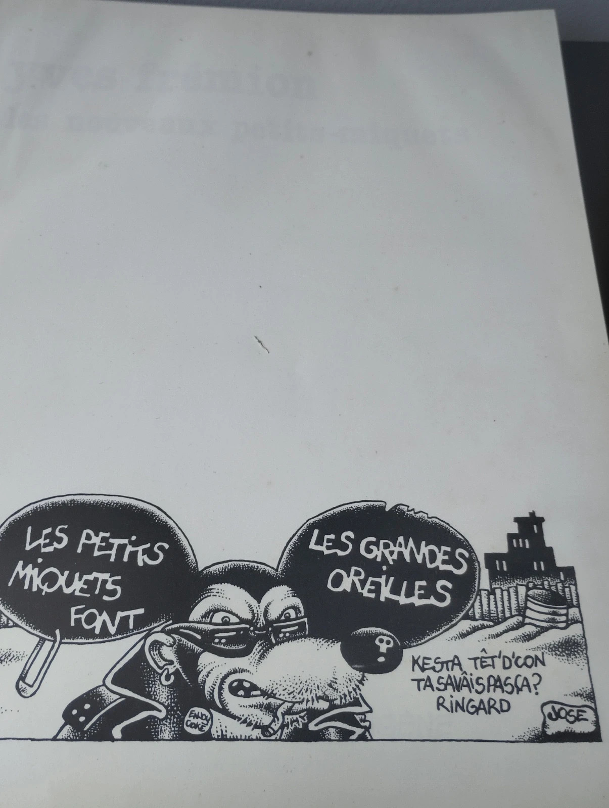 Les nouveaux petits miquets 2