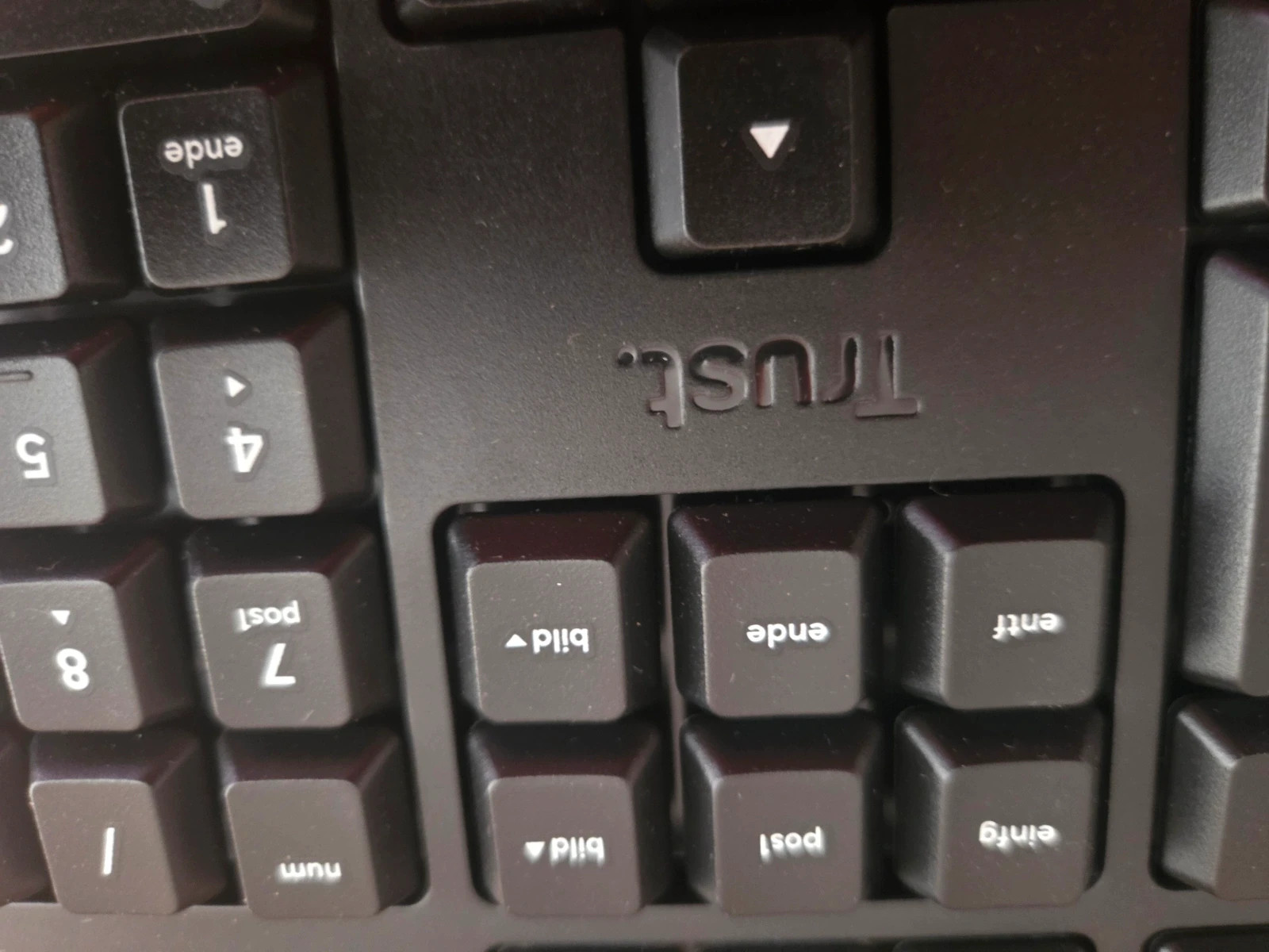 Teclado USB Trust Taro Qwertz (Alemán) - Nuevo con caja – Trust 5