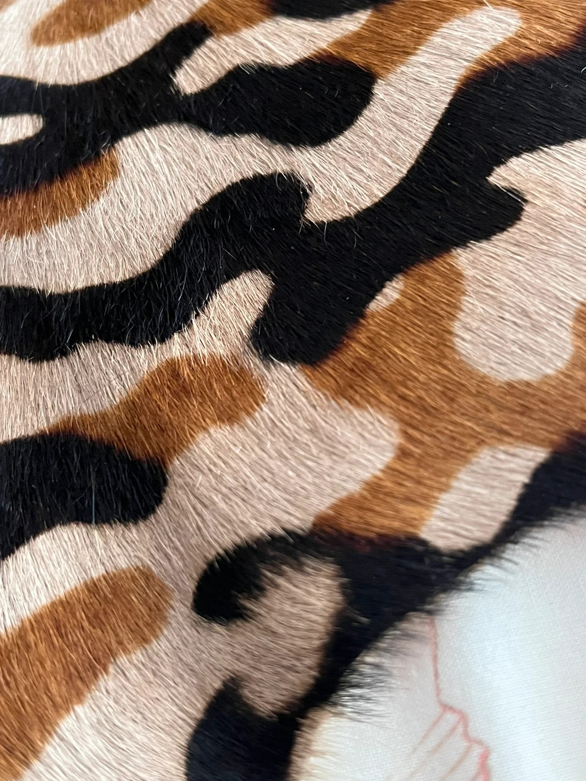 Retal de piel – FABRIC 3