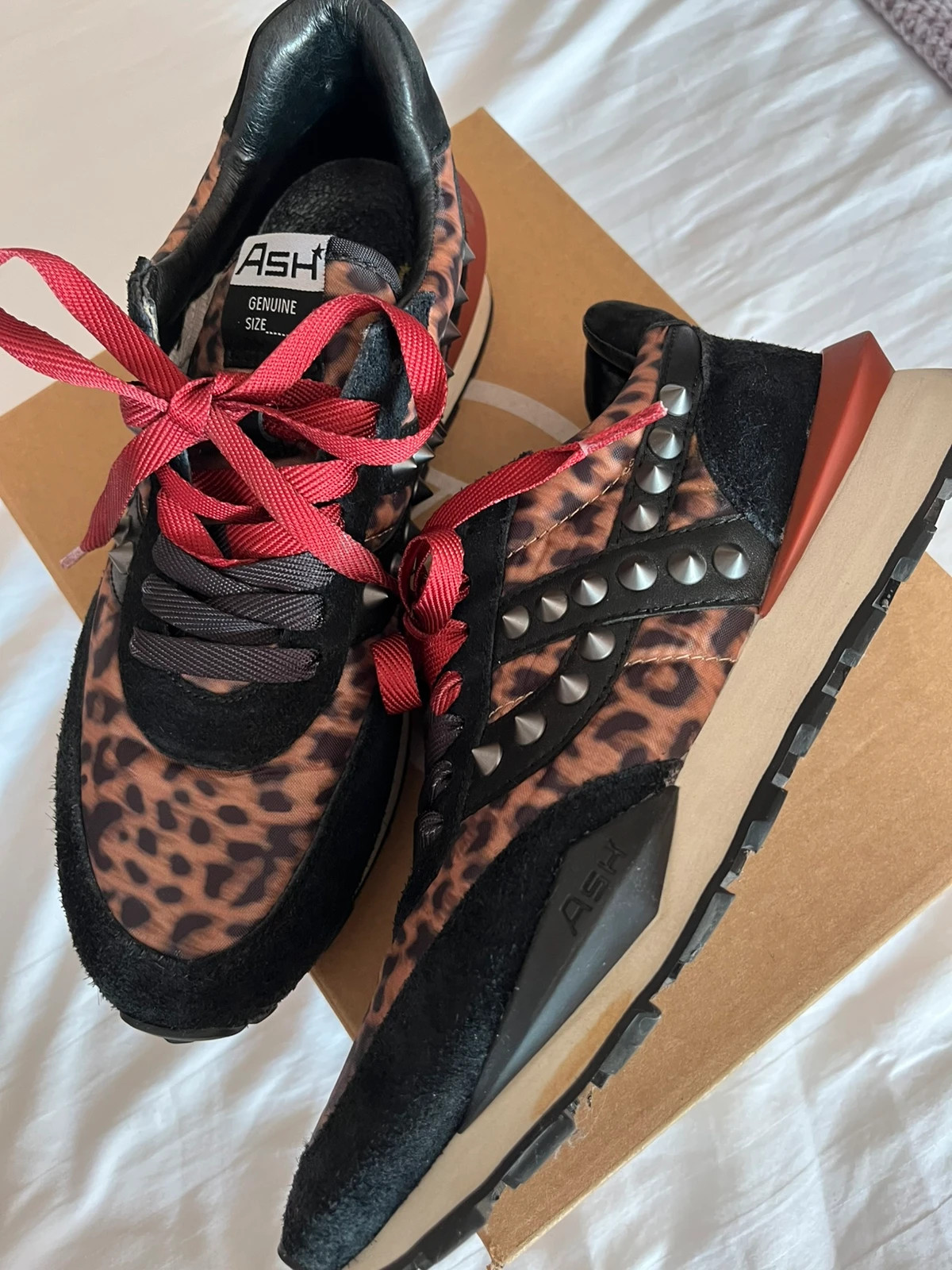 Ash Spiders leopardo