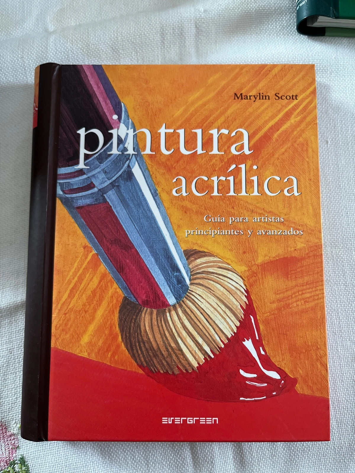 Libro pintura acrílica