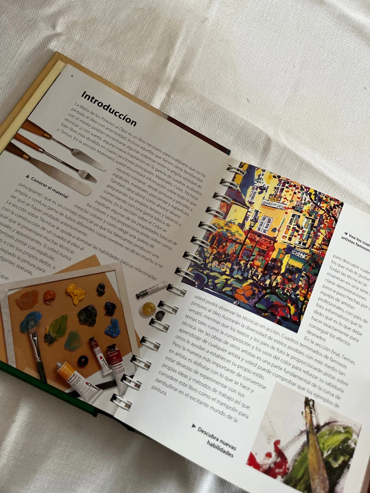 Libro pintura al óleo 3