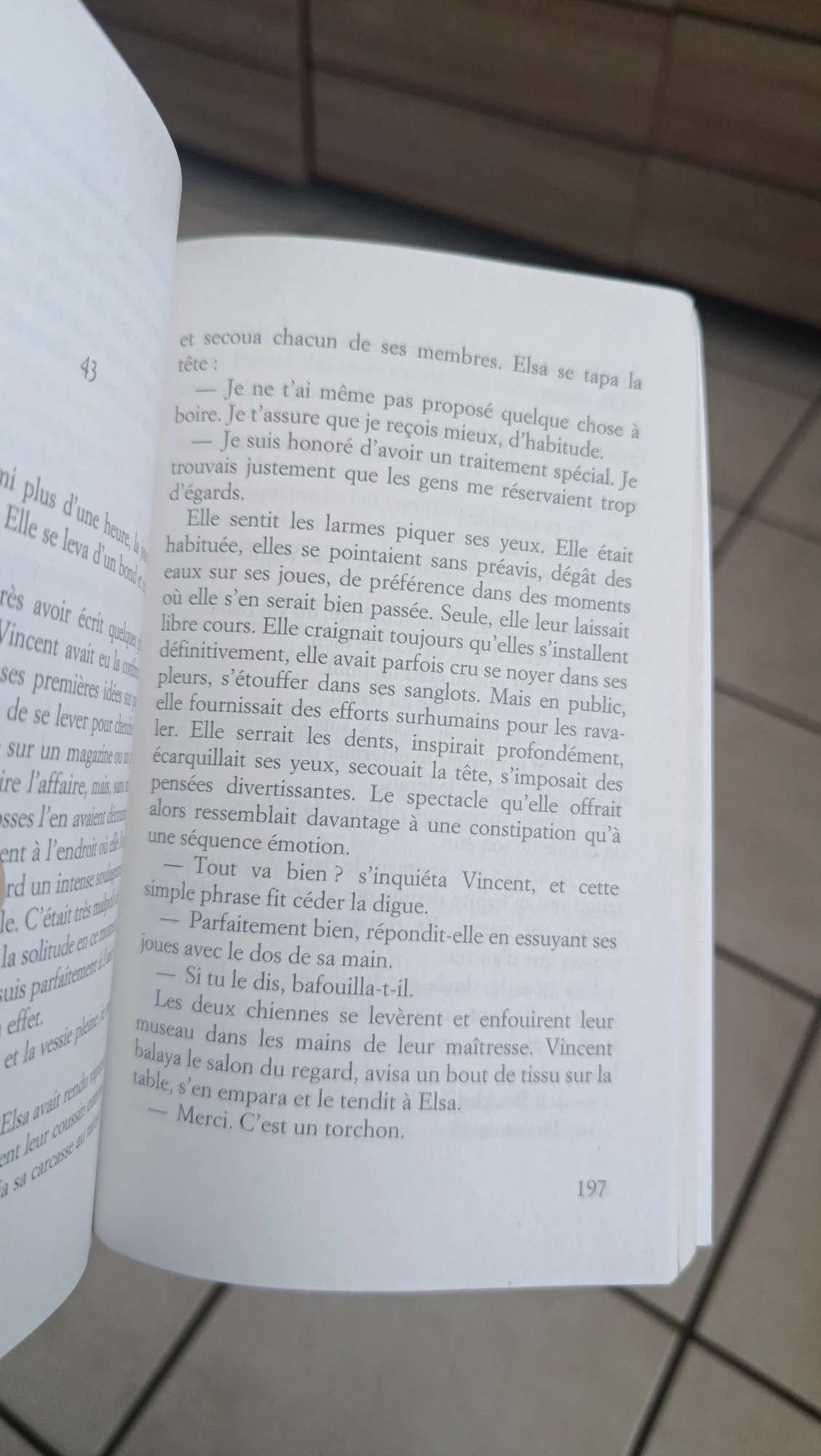 Plus grand que le ciel  – livre de poche 2