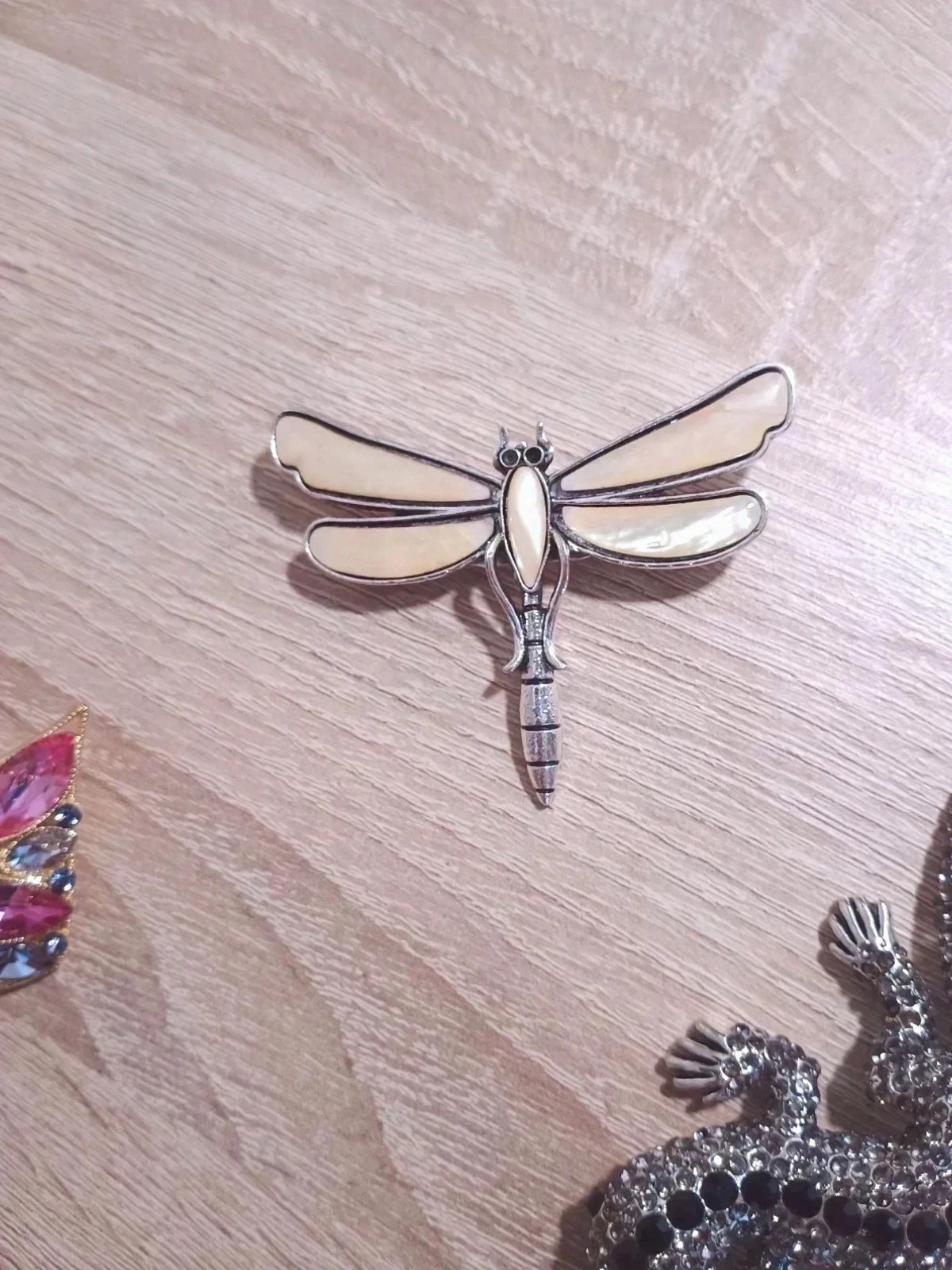 Lote de 3 broches: Cisne, Libélula y Lagarto Salamandra 4