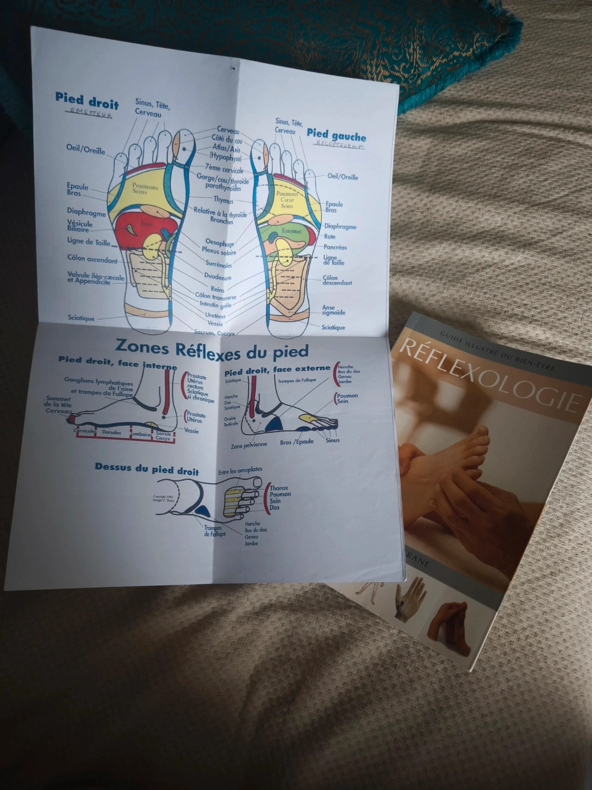 Livre bien être réflexologie 4