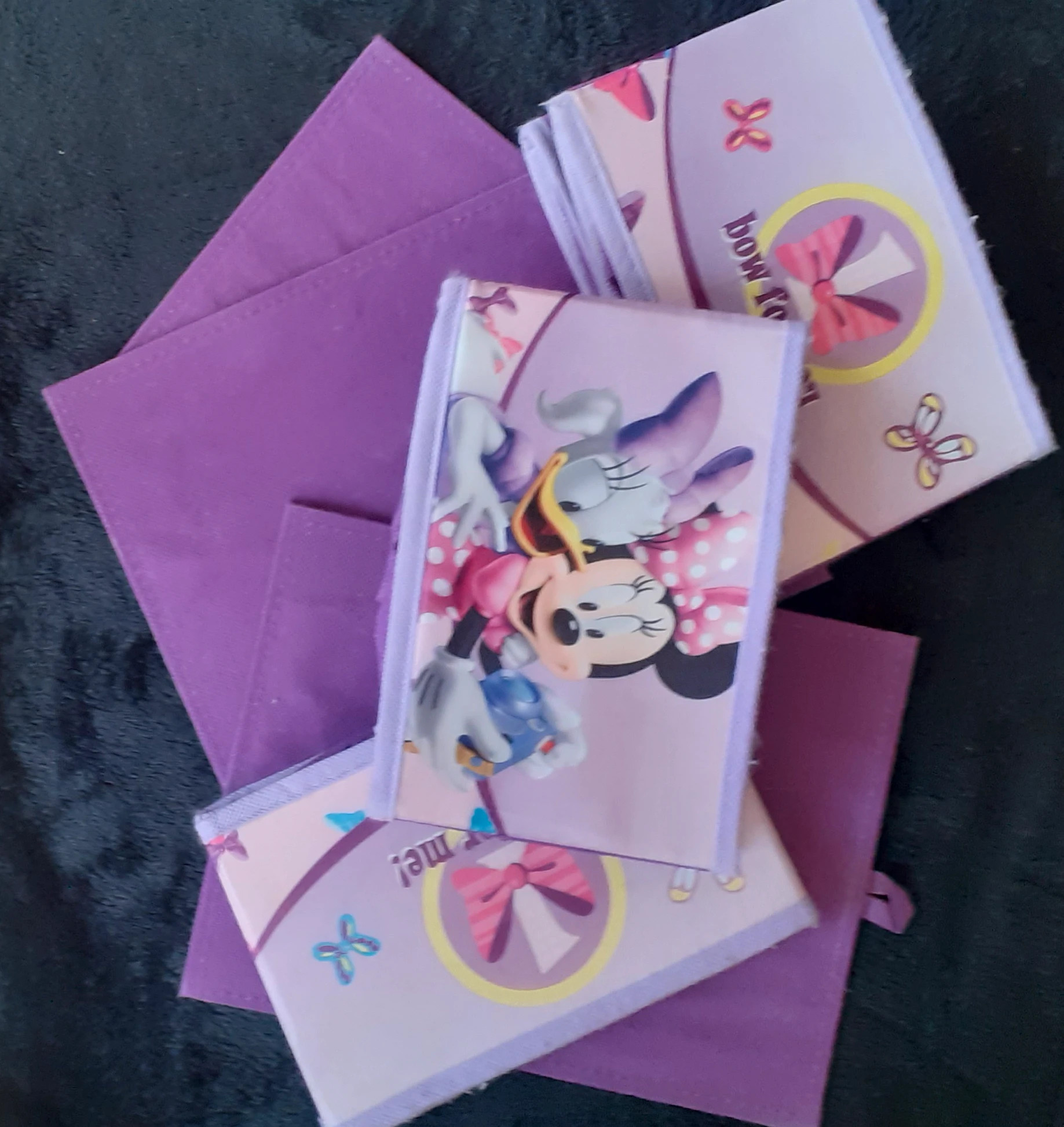 Petits et grands casiers pliables – Disney – taille Taille unique 5
