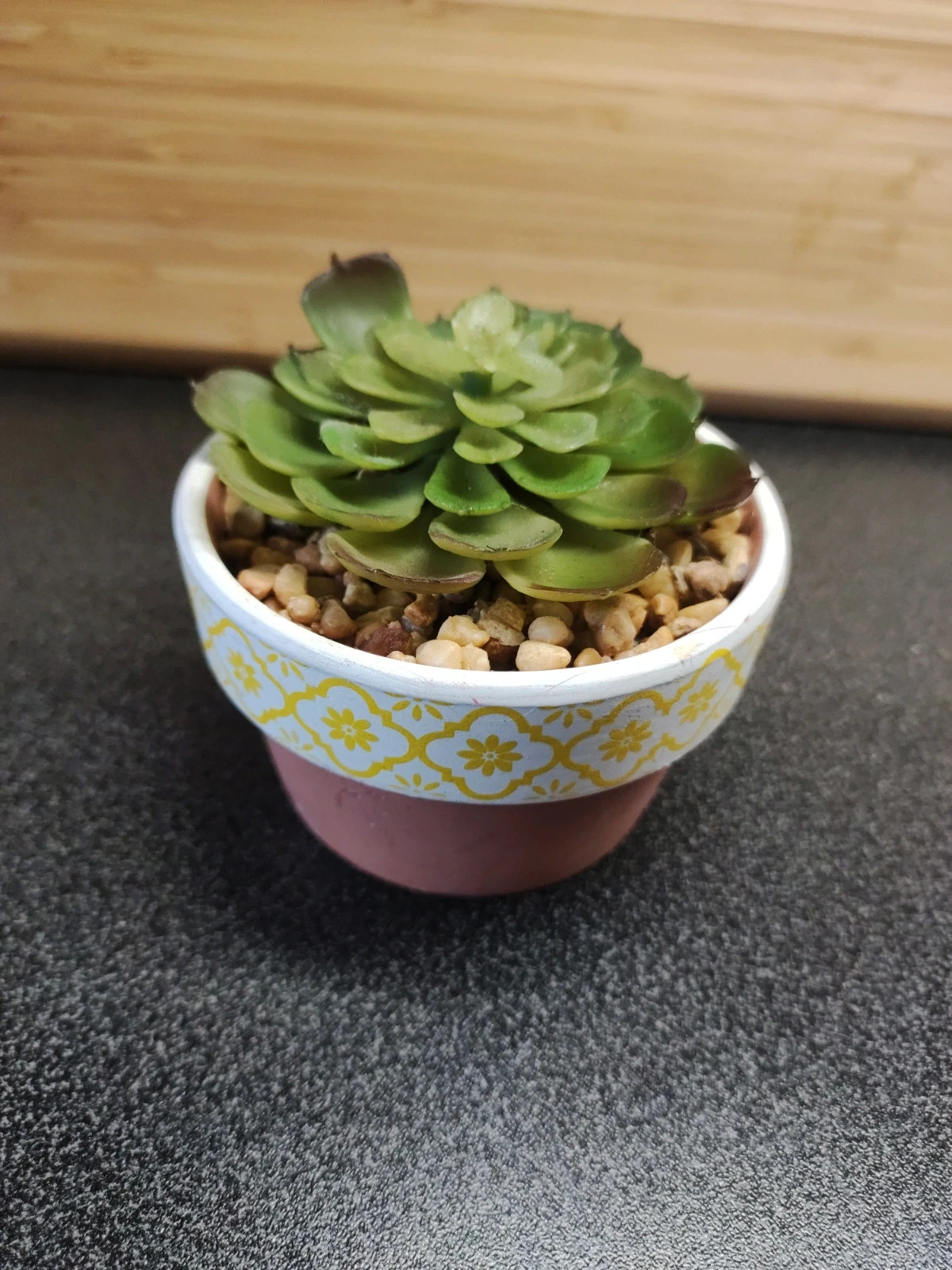 Fausse plante